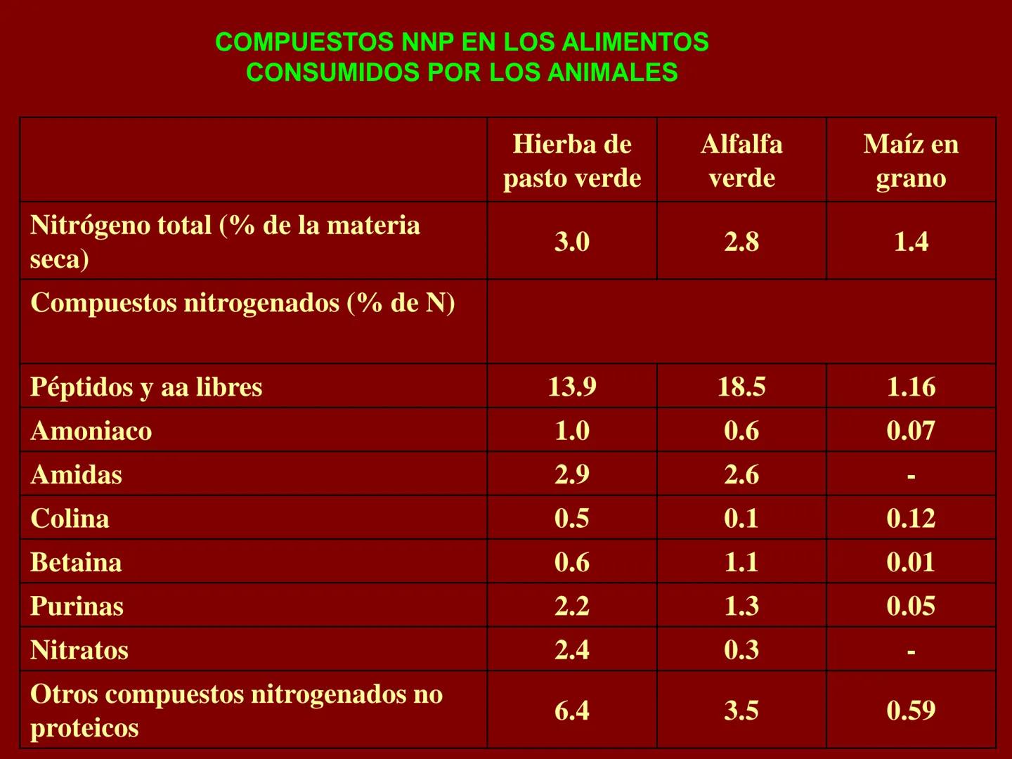 # METABOLISMO DE LAS PROTEINAS
2025 II Conformadas por cadena de aminoácidos
R
H
0
R3
H
0
R5
H
0
R7
H
0
H
CH
N
C
CH
N
C
CH
N
C
CH
N
C
N