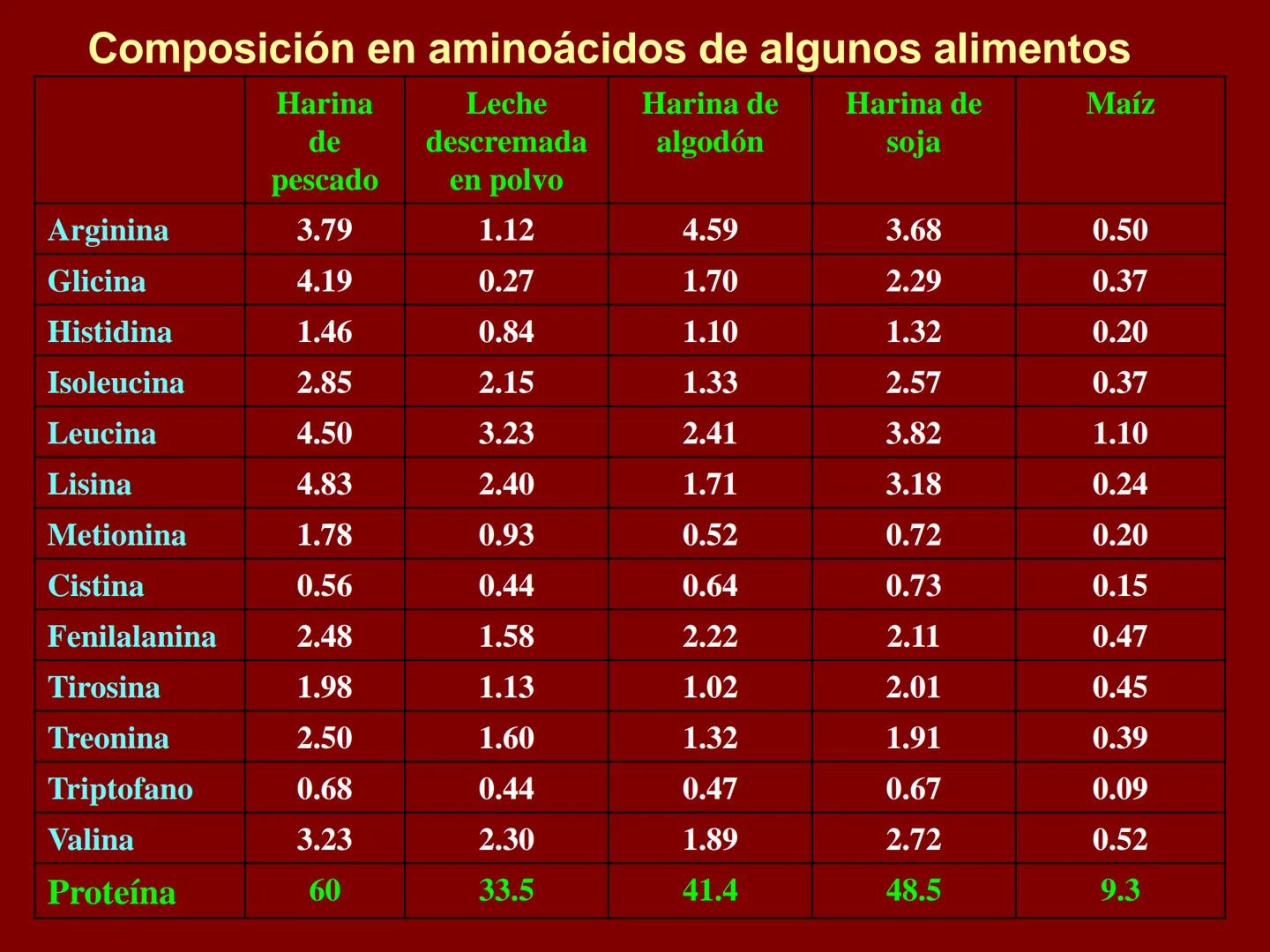 # METABOLISMO DE LAS PROTEINAS
2025 II Conformadas por cadena de aminoácidos
R
H
0
R3
H
0
R5
H
0
R7
H
0
H
CH
N
C
CH
N
C
CH
N
C
CH
N
C
N