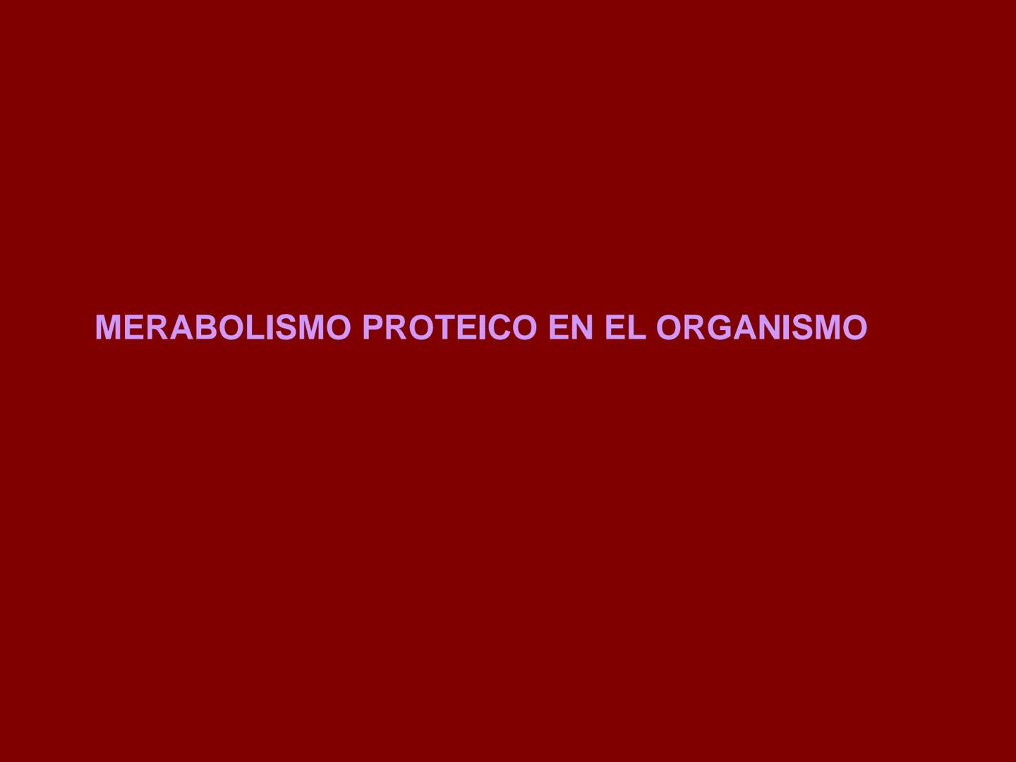 # METABOLISMO DE LAS PROTEINAS
2025 II Conformadas por cadena de aminoácidos
R
H
0
R3
H
0
R5
H
0
R7
H
0
H
CH
N
C
CH
N
C
CH
N
C
CH
N
C
N