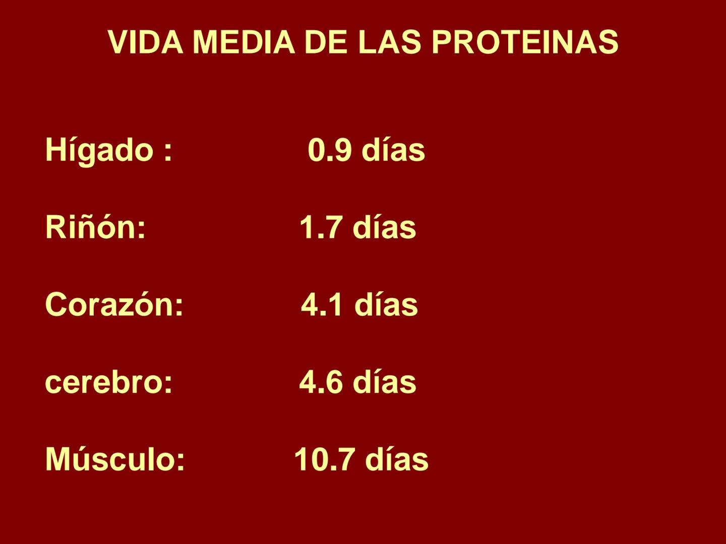 # METABOLISMO DE LAS PROTEINAS
2025 II Conformadas por cadena de aminoácidos
R
H
0
R3
H
0
R5
H
0
R7
H
0
H
CH
N
C
CH
N
C
CH
N
C
CH
N
C
N