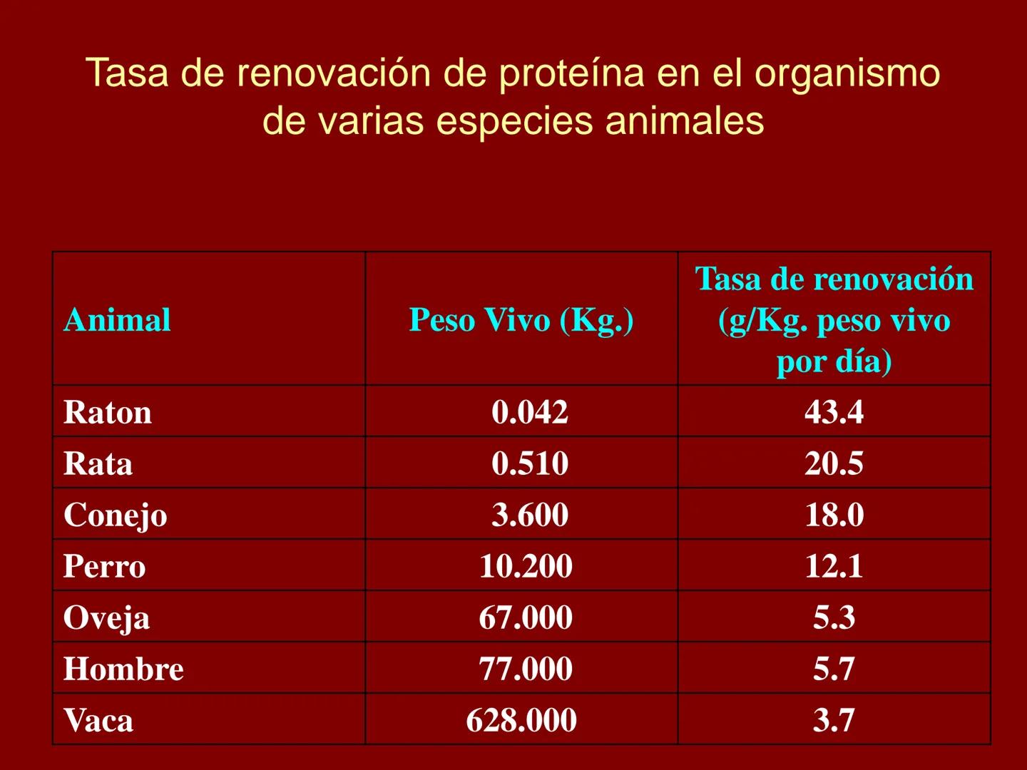# METABOLISMO DE LAS PROTEINAS
2025 II Conformadas por cadena de aminoácidos
R
H
0
R3
H
0
R5
H
0
R7
H
0
H
CH
N
C
CH
N
C
CH
N
C
CH
N
C
N
