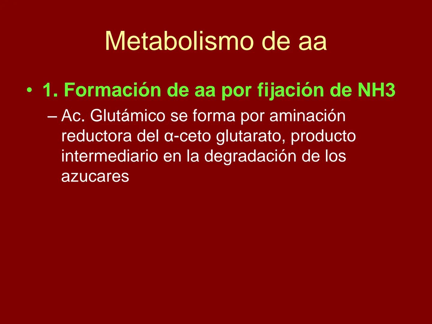 # METABOLISMO DE LAS PROTEINAS
2025 II Conformadas por cadena de aminoácidos
R
H
0
R3
H
0
R5
H
0
R7
H
0
H
CH
N
C
CH
N
C
CH
N
C
CH
N
C
N