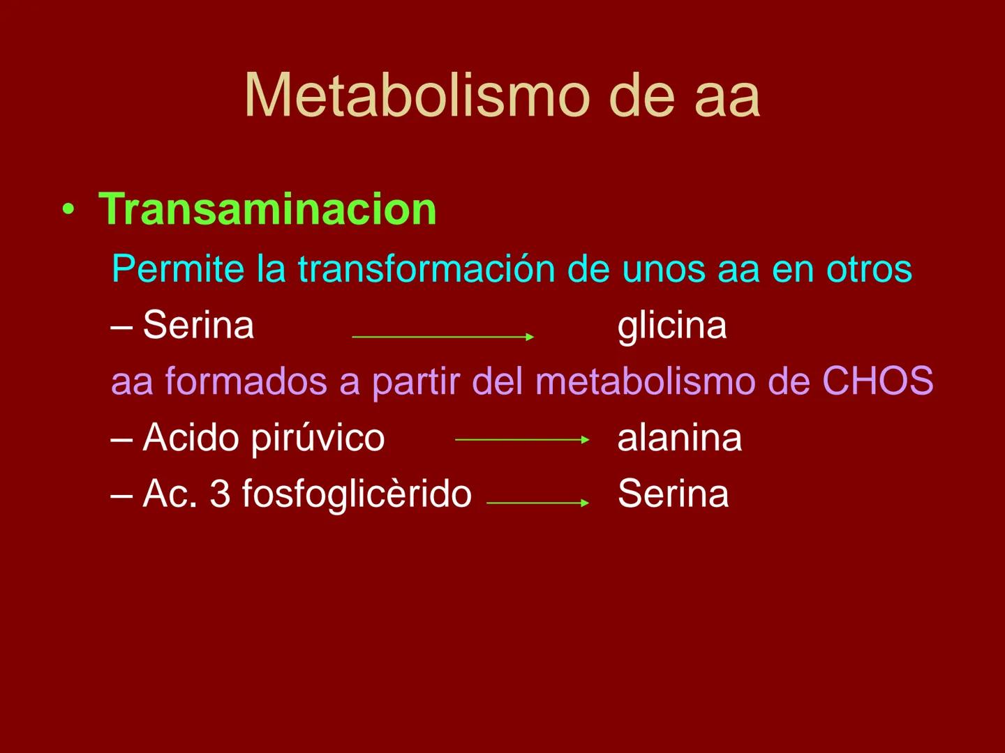 # METABOLISMO DE LAS PROTEINAS
2025 II Conformadas por cadena de aminoácidos
R
H
0
R3
H
0
R5
H
0
R7
H
0
H
CH
N
C
CH
N
C
CH
N
C
CH
N
C
N