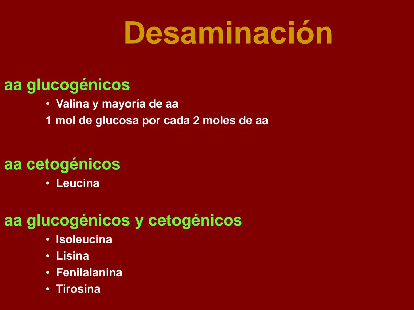 # METABOLISMO DE LAS PROTEINAS
2025 II Conformadas por cadena de aminoácidos
R
H
0
R3
H
0
R5
H
0
R7
H
0
H
CH
N
C
CH
N
C
CH
N
C
CH
N
C
N