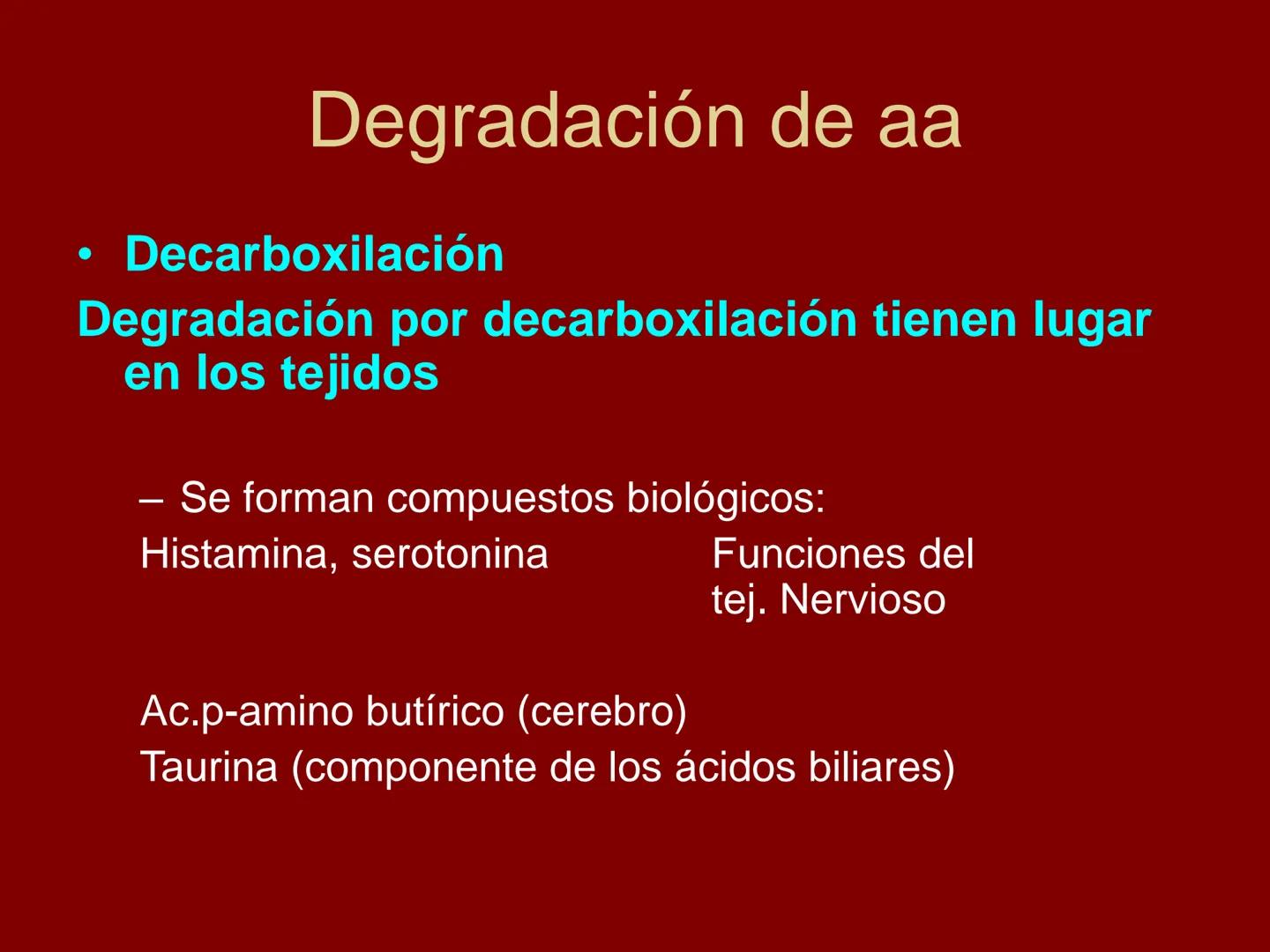 # METABOLISMO DE LAS PROTEINAS
2025 II Conformadas por cadena de aminoácidos
R
H
0
R3
H
0
R5
H
0
R7
H
0
H
CH
N
C
CH
N
C
CH
N
C
CH
N
C
N