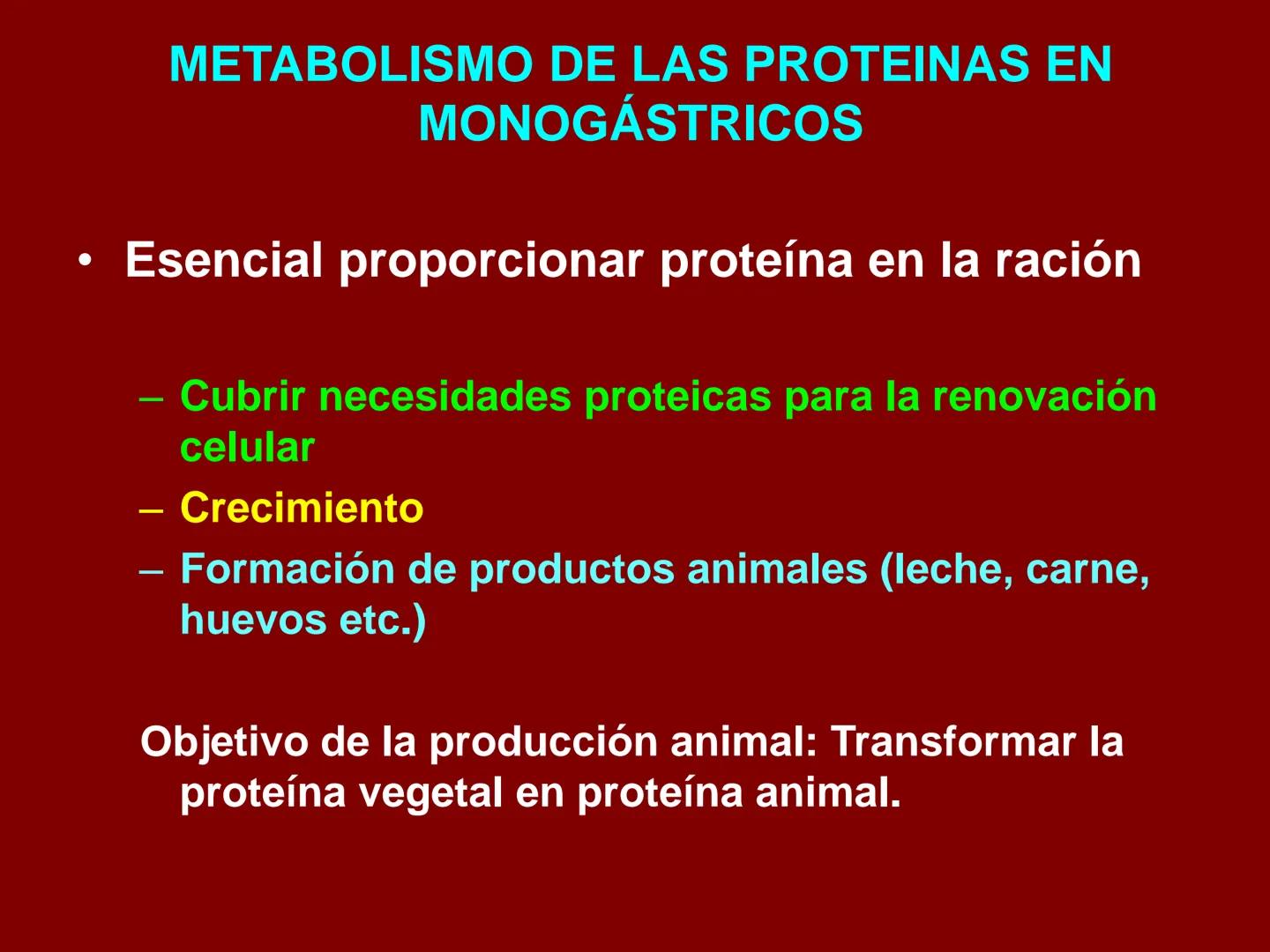 # METABOLISMO DE LAS PROTEINAS
2025 II Conformadas por cadena de aminoácidos
R
H
0
R3
H
0
R5
H
0
R7
H
0
H
CH
N
C
CH
N
C
CH
N
C
CH
N
C
N