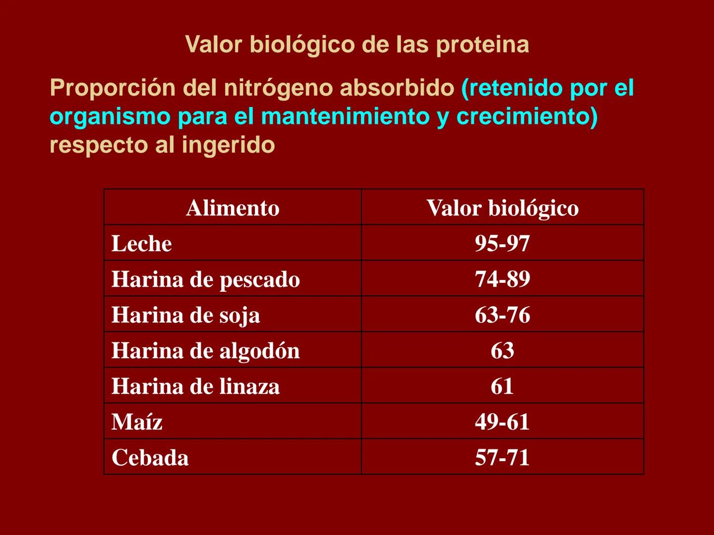 # METABOLISMO DE LAS PROTEINAS
2025 II Conformadas por cadena de aminoácidos
R
H
0
R3
H
0
R5
H
0
R7
H
0
H
CH
N
C
CH
N
C
CH
N
C
CH
N
C
N
