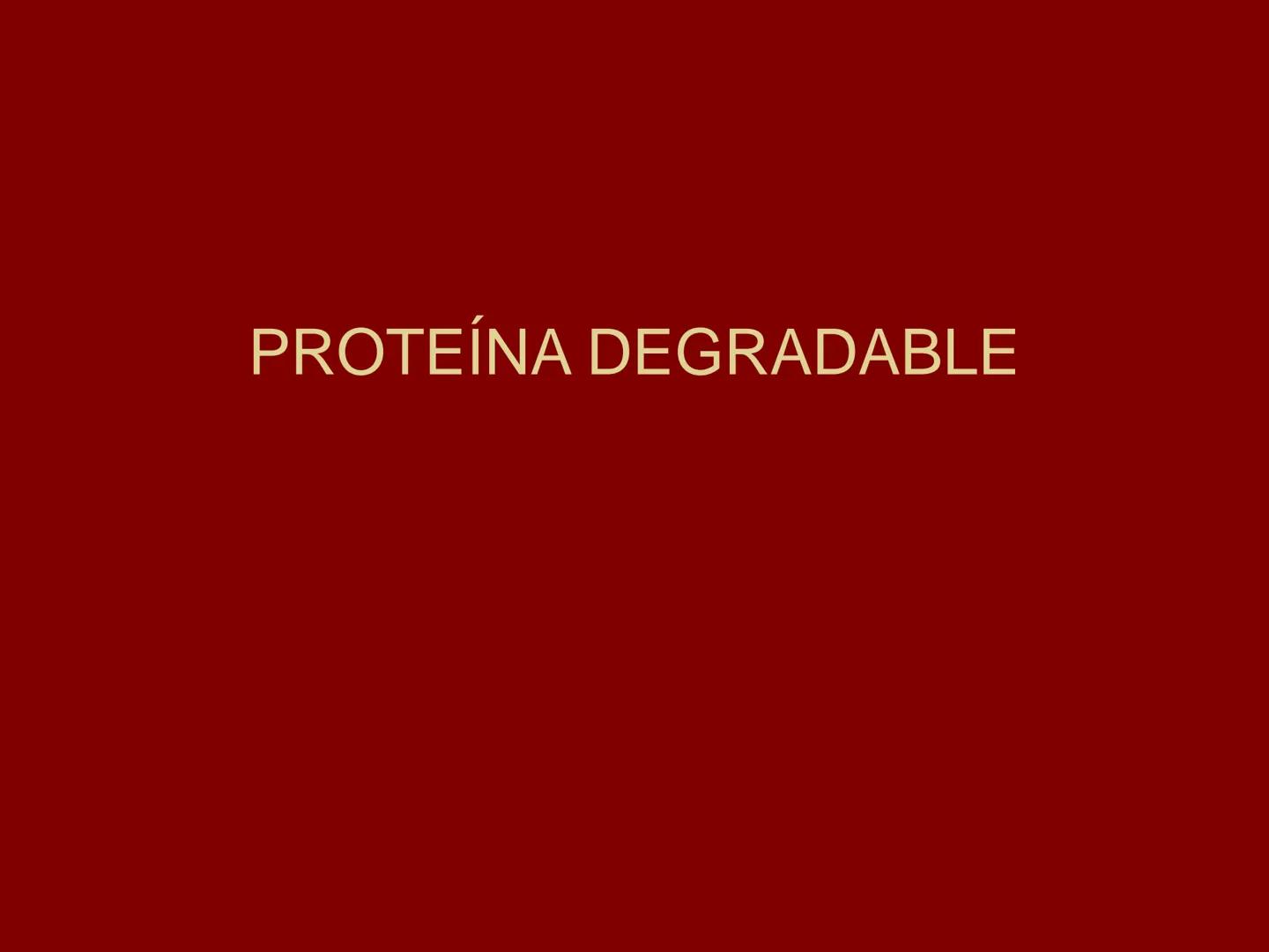# METABOLISMO DE LAS PROTEINAS
2025 II Conformadas por cadena de aminoácidos
R
H
0
R3
H
0
R5
H
0
R7
H
0
H
CH
N
C
CH
N
C
CH
N
C
CH
N
C
N