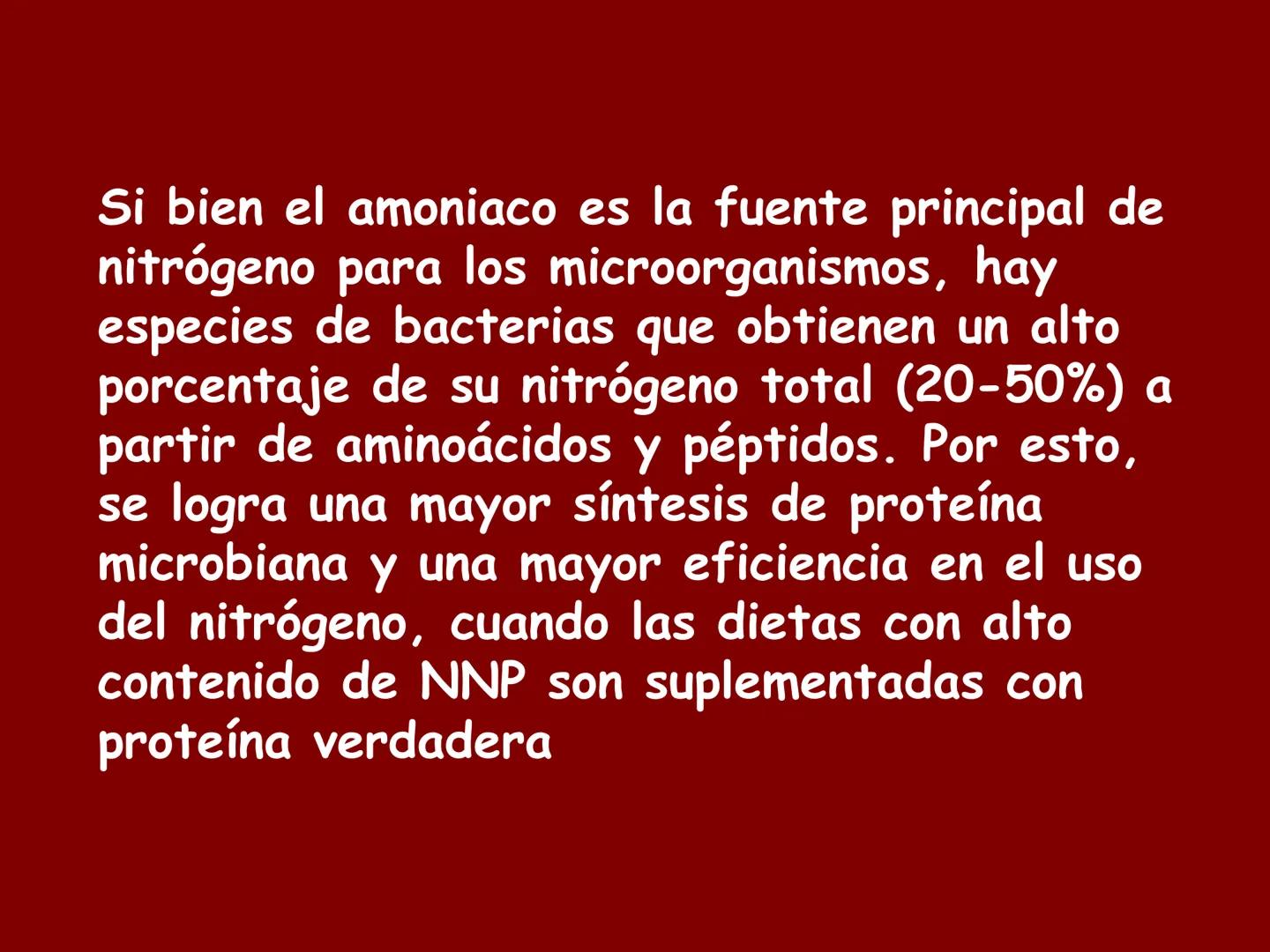 # METABOLISMO DE LAS PROTEINAS
2025 II Conformadas por cadena de aminoácidos
R
H
0
R3
H
0
R5
H
0
R7
H
0
H
CH
N
C
CH
N
C
CH
N
C
CH
N
C
N