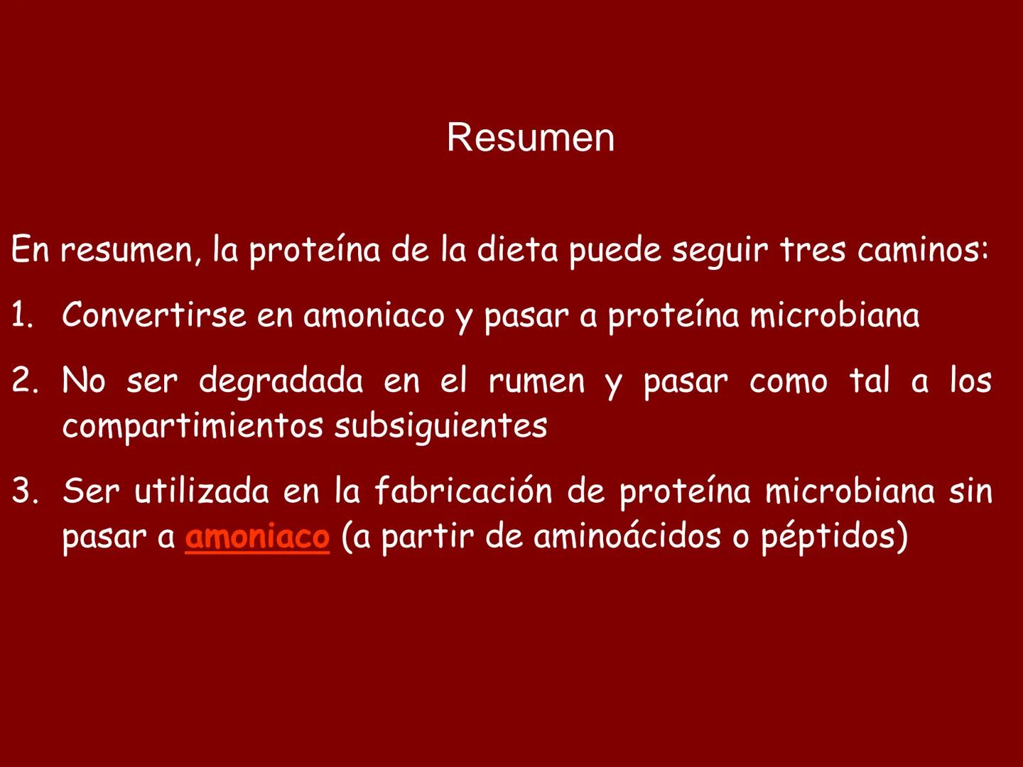 # METABOLISMO DE LAS PROTEINAS
2025 II Conformadas por cadena de aminoácidos
R
H
0
R3
H
0
R5
H
0
R7
H
0
H
CH
N
C
CH
N
C
CH
N
C
CH
N
C
N