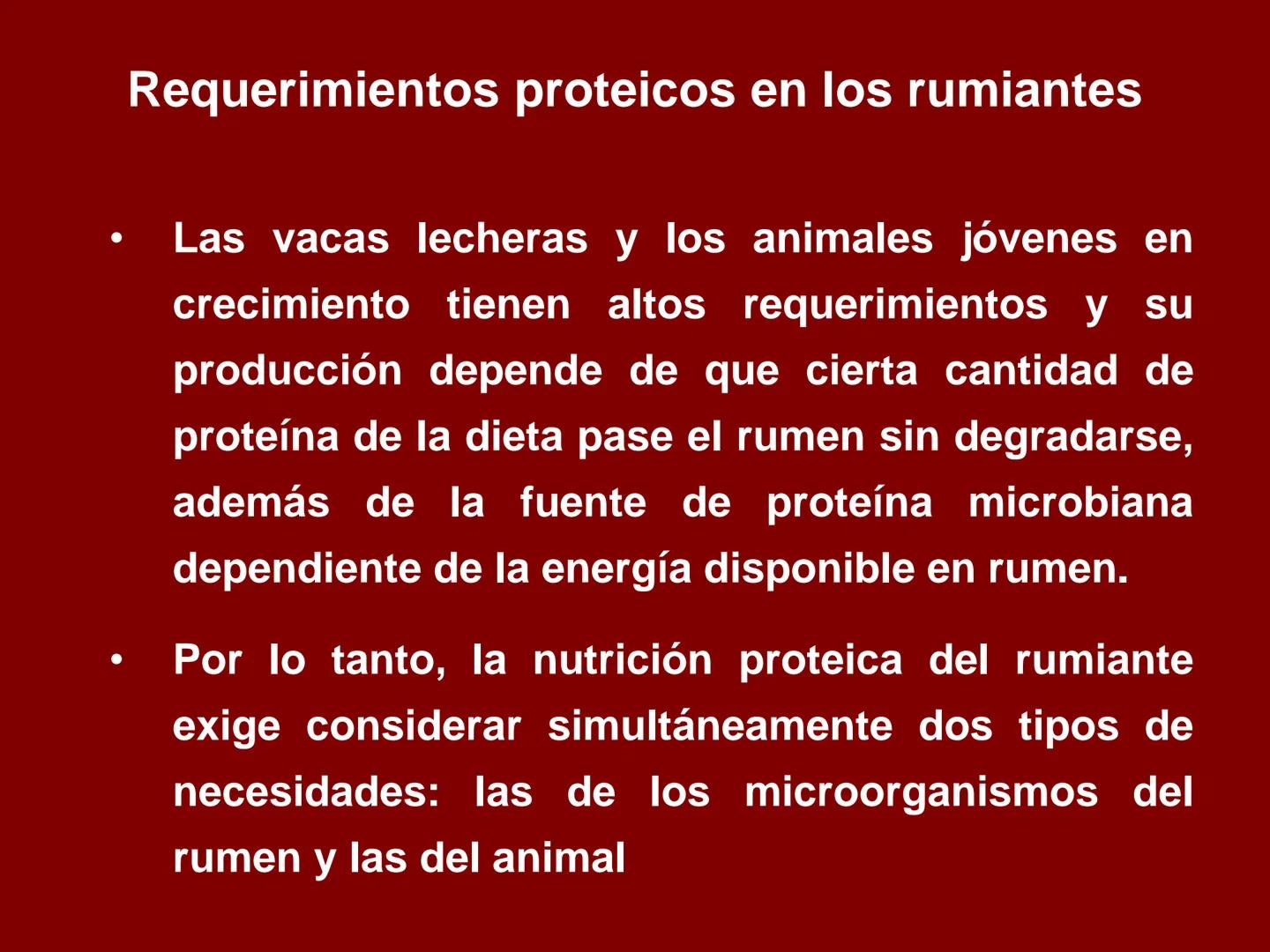 # METABOLISMO DE LAS PROTEINAS
2025 II Conformadas por cadena de aminoácidos
R
H
0
R3
H
0
R5
H
0
R7
H
0
H
CH
N
C
CH
N
C
CH
N
C
CH
N
C
N
