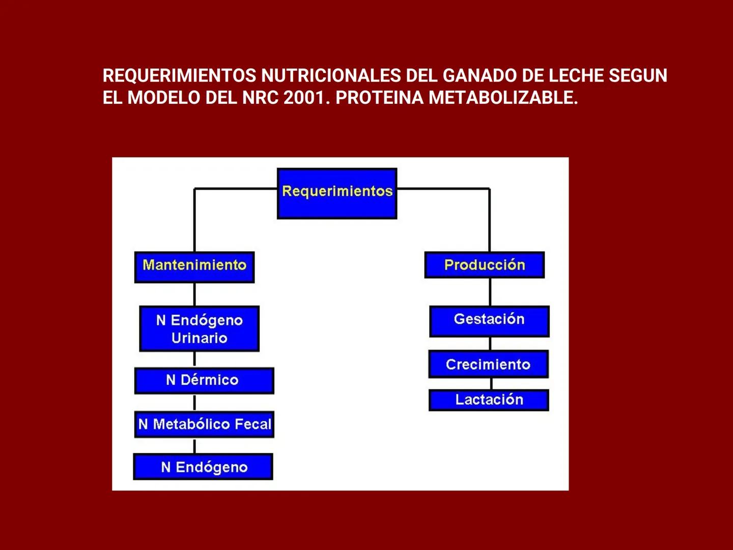 # METABOLISMO DE LAS PROTEINAS
2025 II Conformadas por cadena de aminoácidos
R
H
0
R3
H
0
R5
H
0
R7
H
0
H
CH
N
C
CH
N
C
CH
N
C
CH
N
C
N