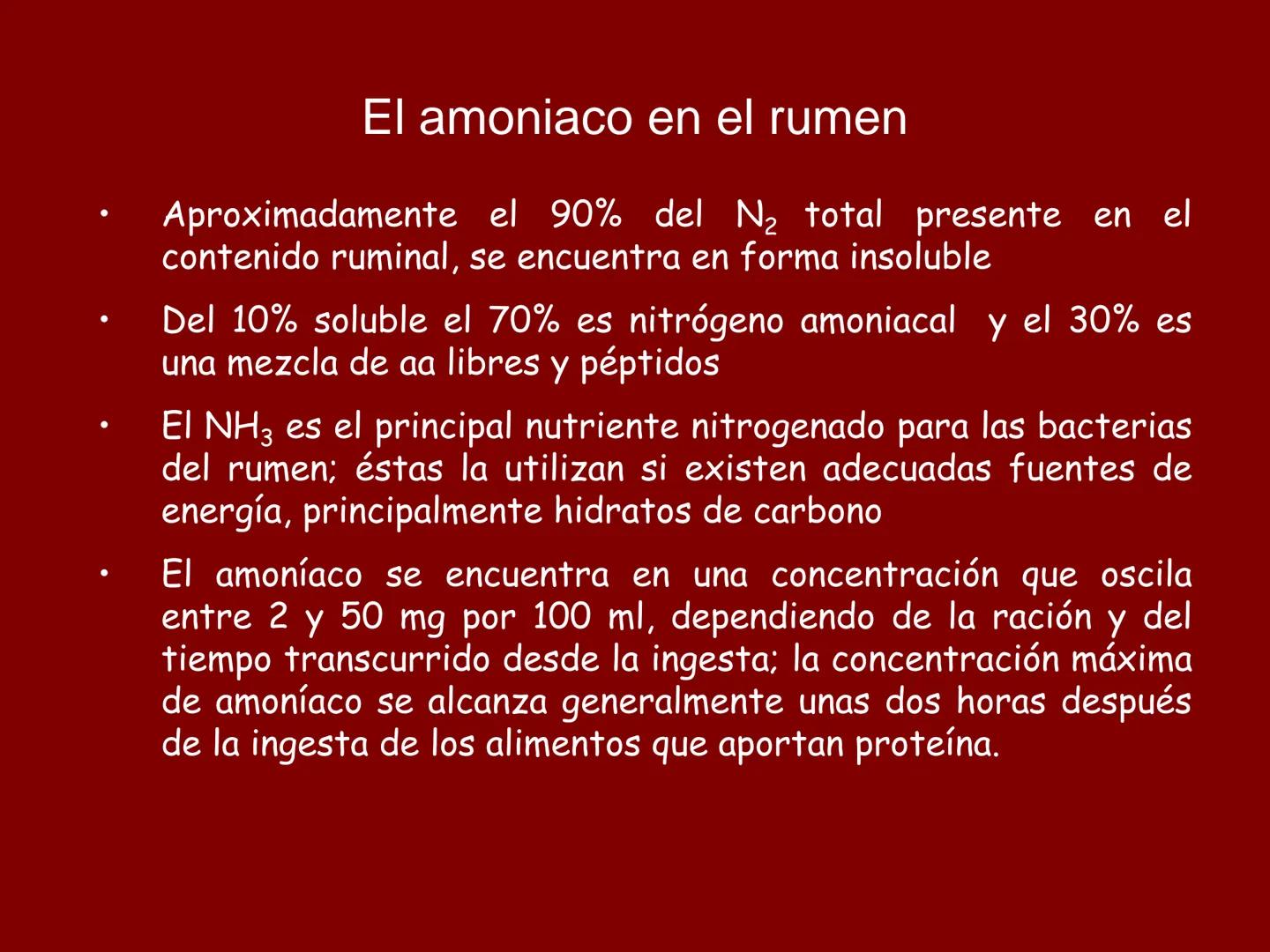 # METABOLISMO DE LAS PROTEINAS
2025 II Conformadas por cadena de aminoácidos
R
H
0
R3
H
0
R5
H
0
R7
H
0
H
CH
N
C
CH
N
C
CH
N
C
CH
N
C
N