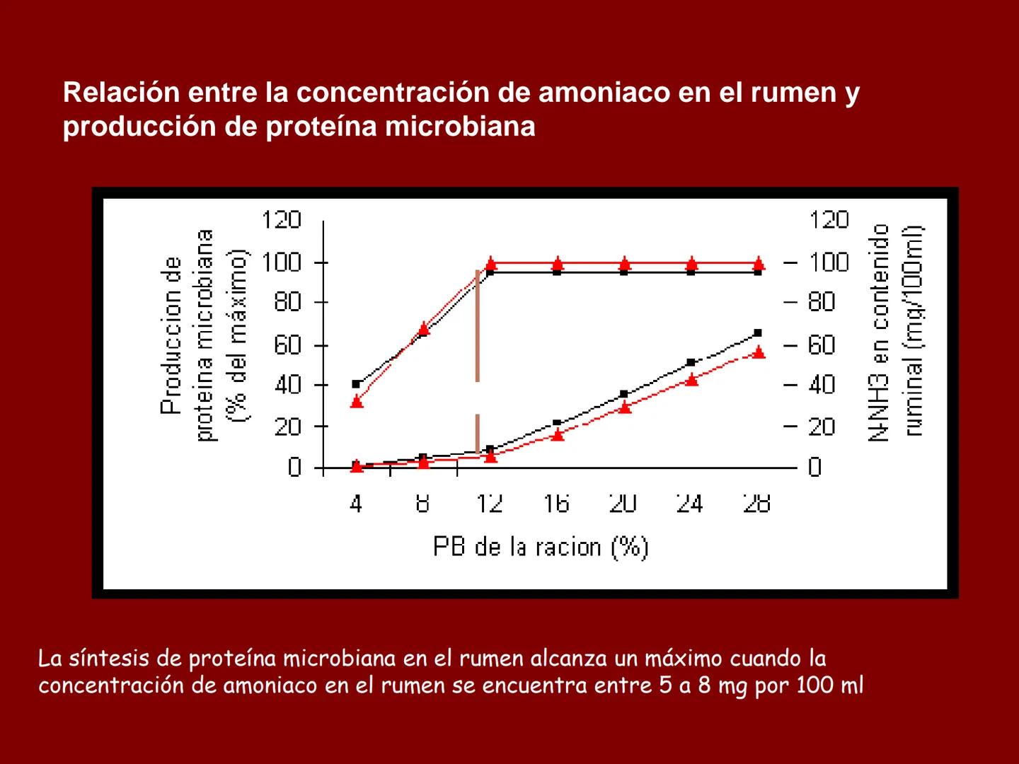 # METABOLISMO DE LAS PROTEINAS
2025 II Conformadas por cadena de aminoácidos
R
H
0
R3
H
0
R5
H
0
R7
H
0
H
CH
N
C
CH
N
C
CH
N
C
CH
N
C
N