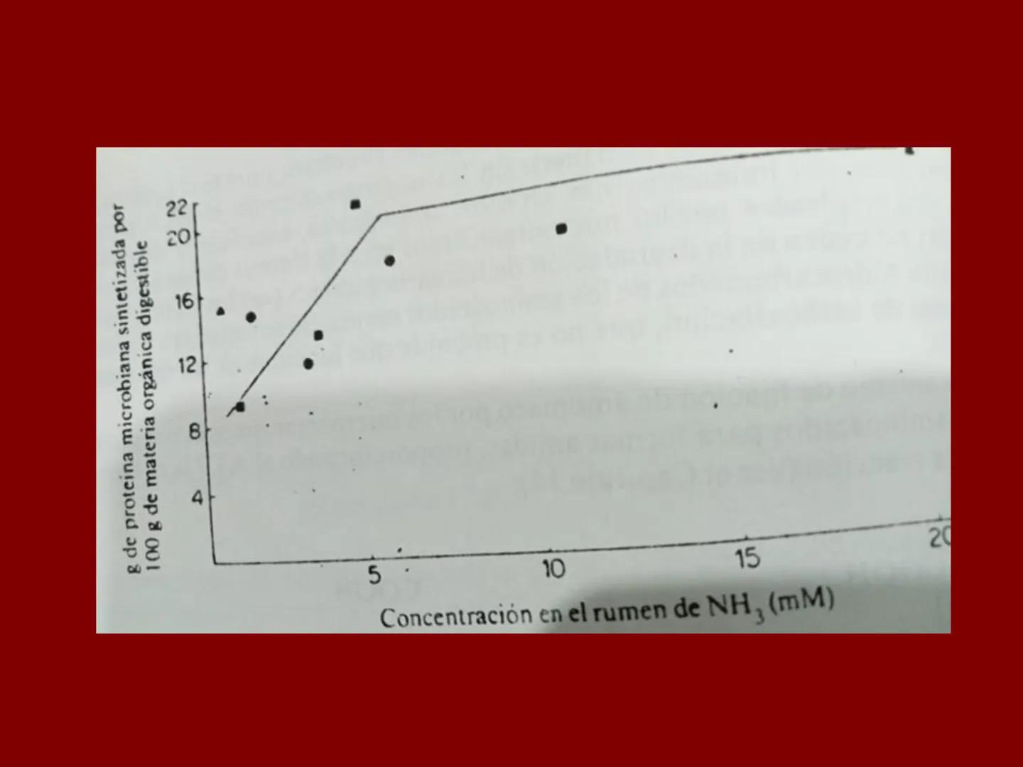 # METABOLISMO DE LAS PROTEINAS
2025 II Conformadas por cadena de aminoácidos
R
H
0
R3
H
0
R5
H
0
R7
H
0
H
CH
N
C
CH
N
C
CH
N
C
CH
N
C
N
