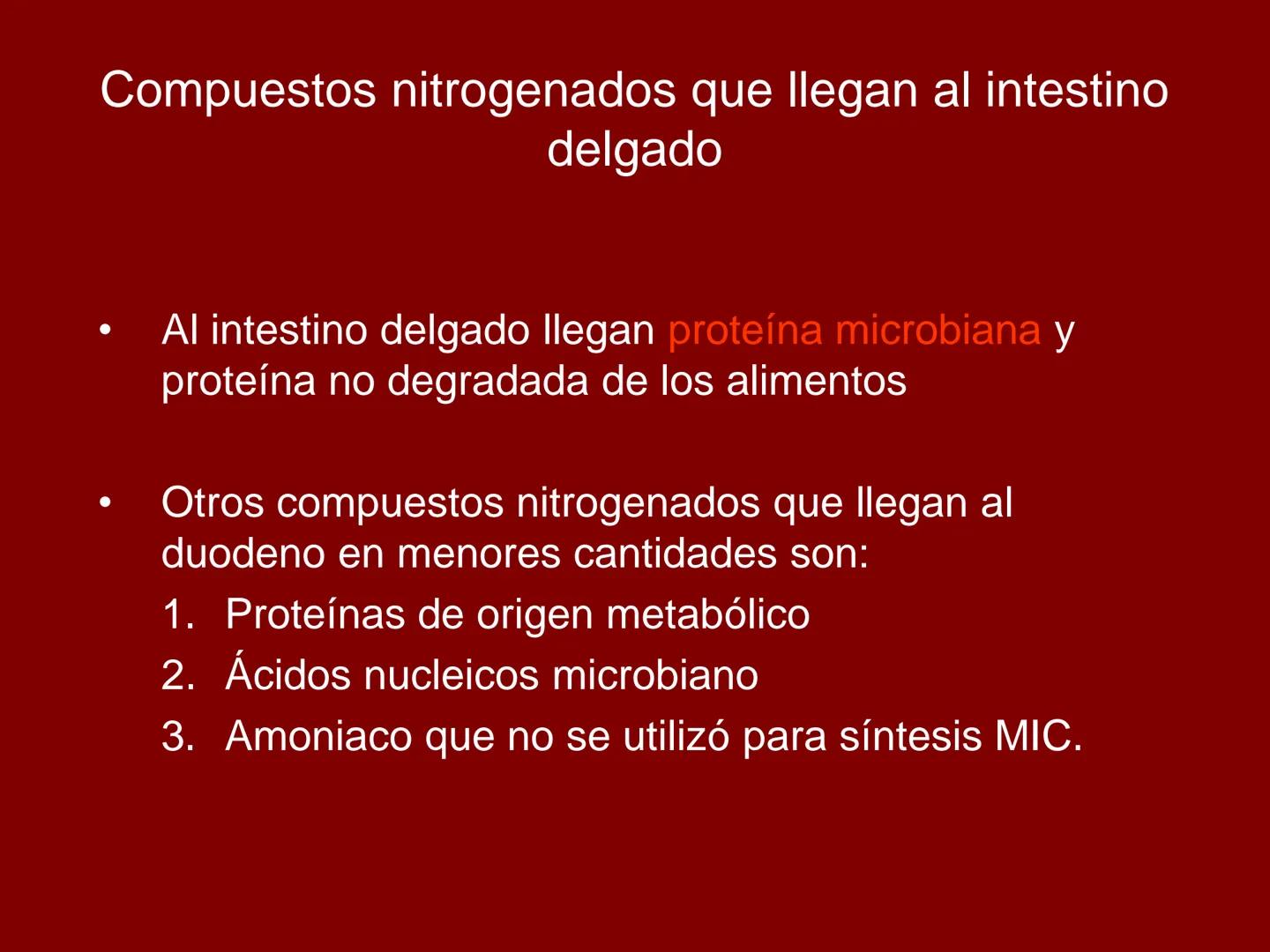 # METABOLISMO DE LAS PROTEINAS
2025 II Conformadas por cadena de aminoácidos
R
H
0
R3
H
0
R5
H
0
R7
H
0
H
CH
N
C
CH
N
C
CH
N
C
CH
N
C
N