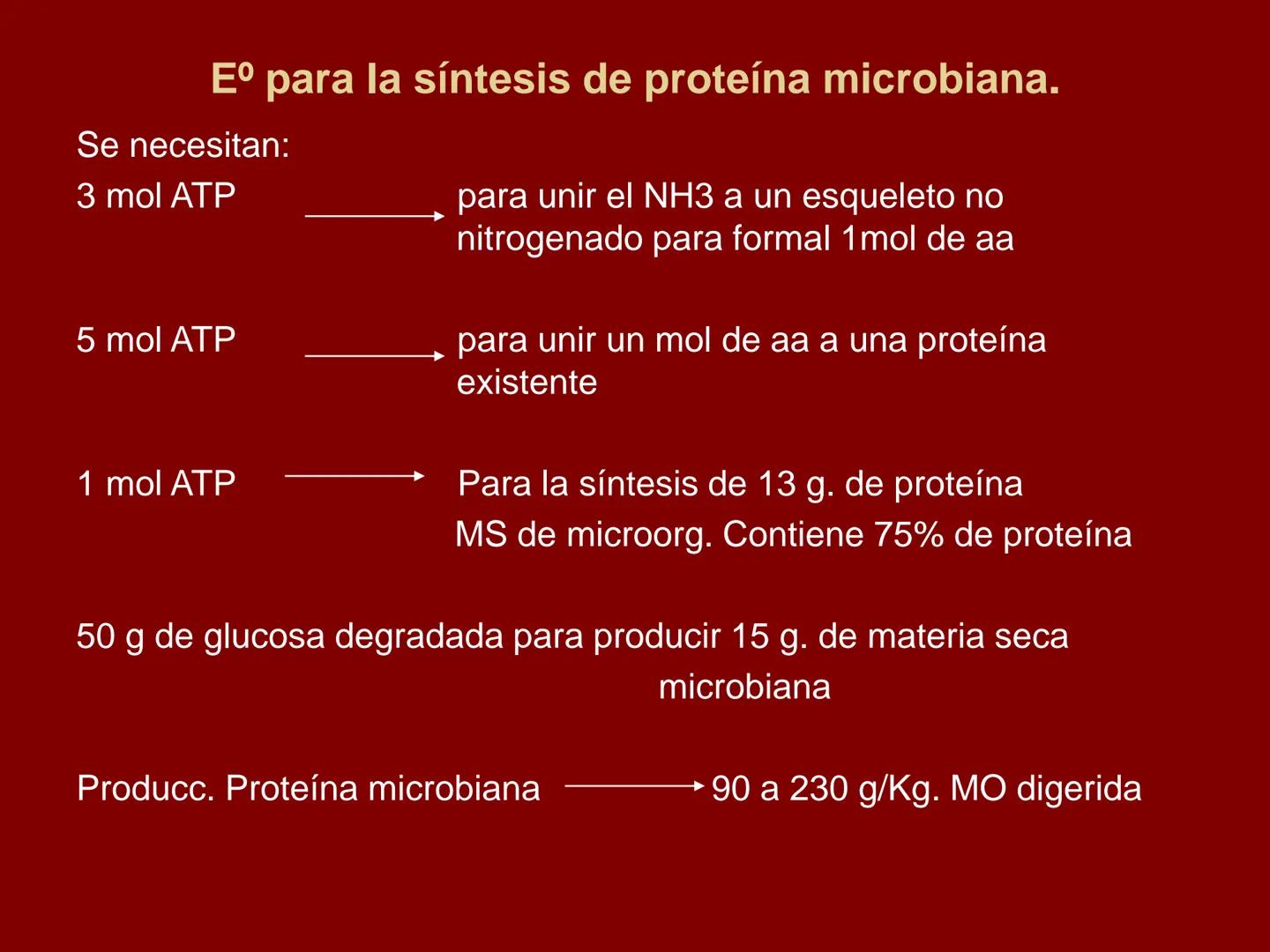 # METABOLISMO DE LAS PROTEINAS
2025 II Conformadas por cadena de aminoácidos
R
H
0
R3
H
0
R5
H
0
R7
H
0
H
CH
N
C
CH
N
C
CH
N
C
CH
N
C
N