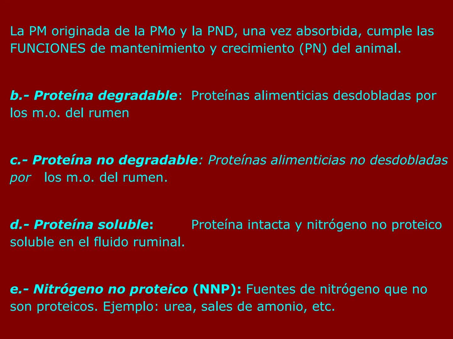 # METABOLISMO DE LAS PROTEINAS
2025 II Conformadas por cadena de aminoácidos
R
H
0
R3
H
0
R5
H
0
R7
H
0
H
CH
N
C
CH
N
C
CH
N
C
CH
N
C
N