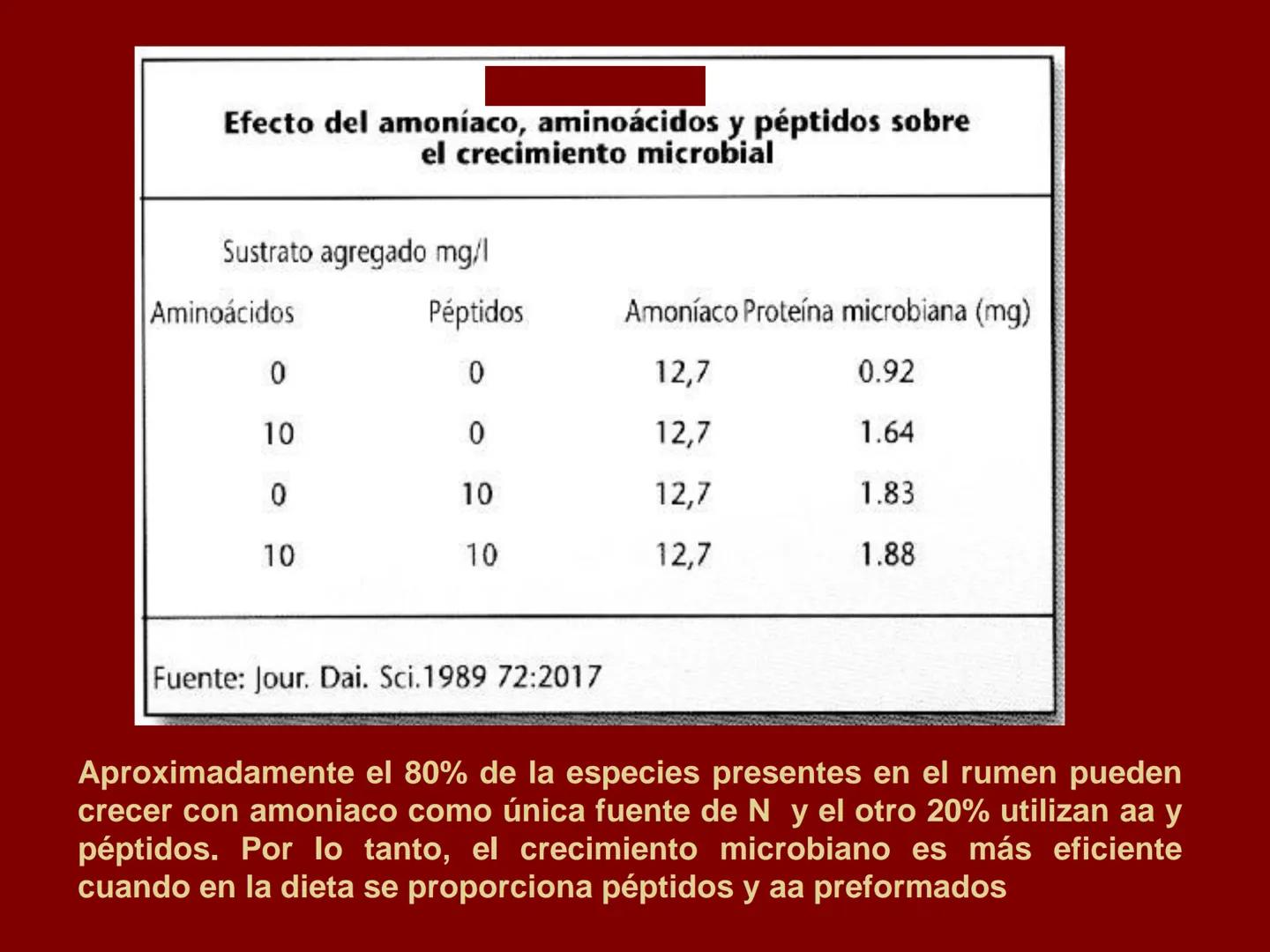 # METABOLISMO DE LAS PROTEINAS
2025 II Conformadas por cadena de aminoácidos
R
H
0
R3
H
0
R5
H
0
R7
H
0
H
CH
N
C
CH
N
C
CH
N
C
CH
N
C
N