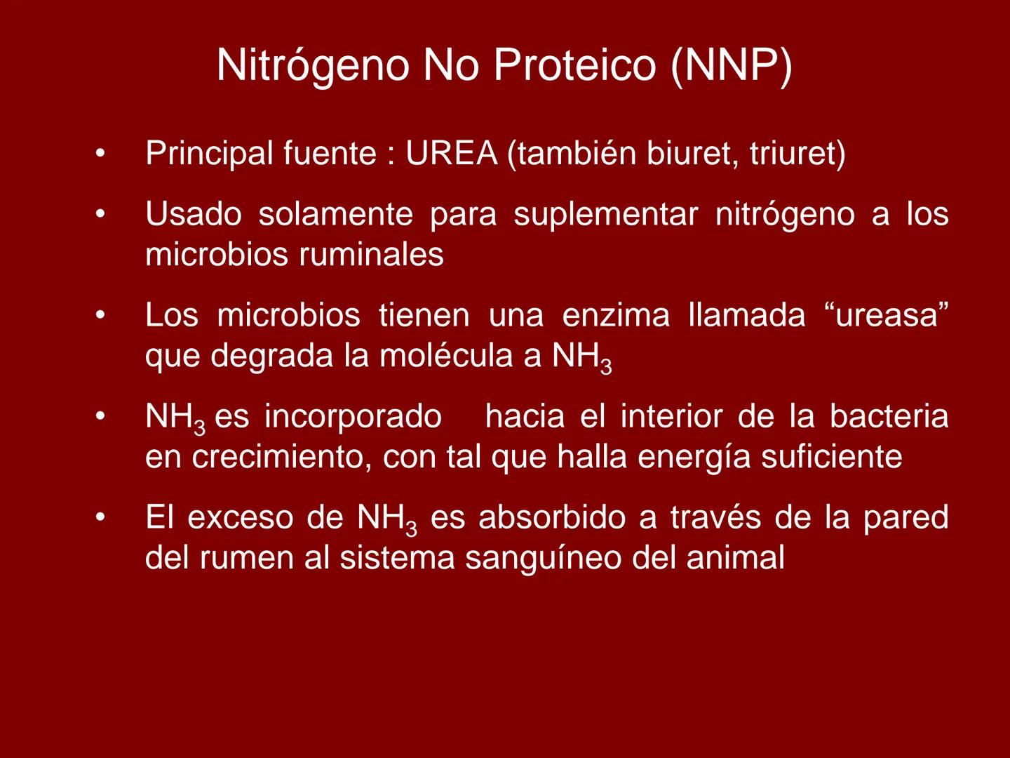 # METABOLISMO DE LAS PROTEINAS
2025 II Conformadas por cadena de aminoácidos
R
H
0
R3
H
0
R5
H
0
R7
H
0
H
CH
N
C
CH
N
C
CH
N
C
CH
N
C
N