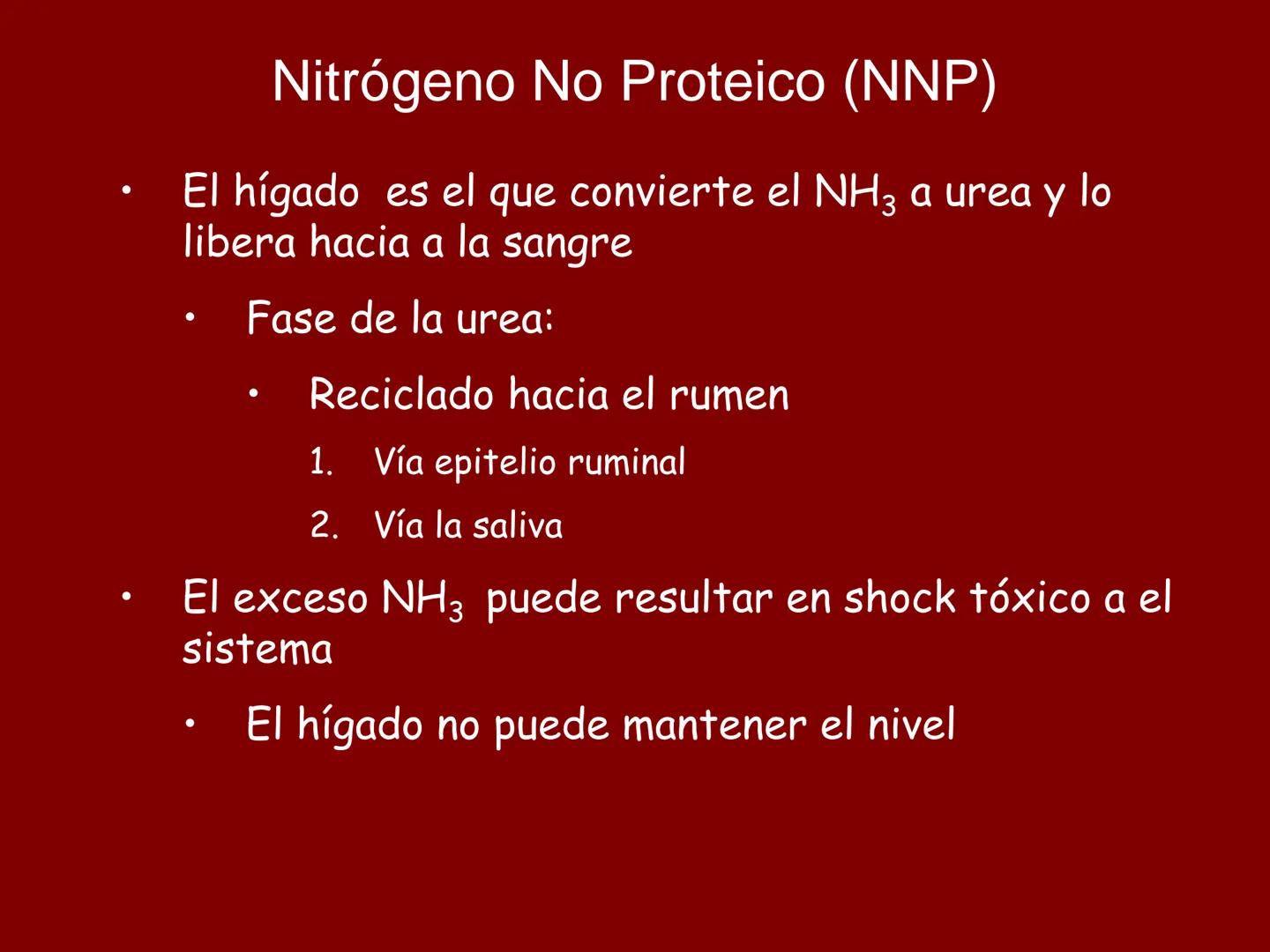 # METABOLISMO DE LAS PROTEINAS
2025 II Conformadas por cadena de aminoácidos
R
H
0
R3
H
0
R5
H
0
R7
H
0
H
CH
N
C
CH
N
C
CH
N
C
CH
N
C
N