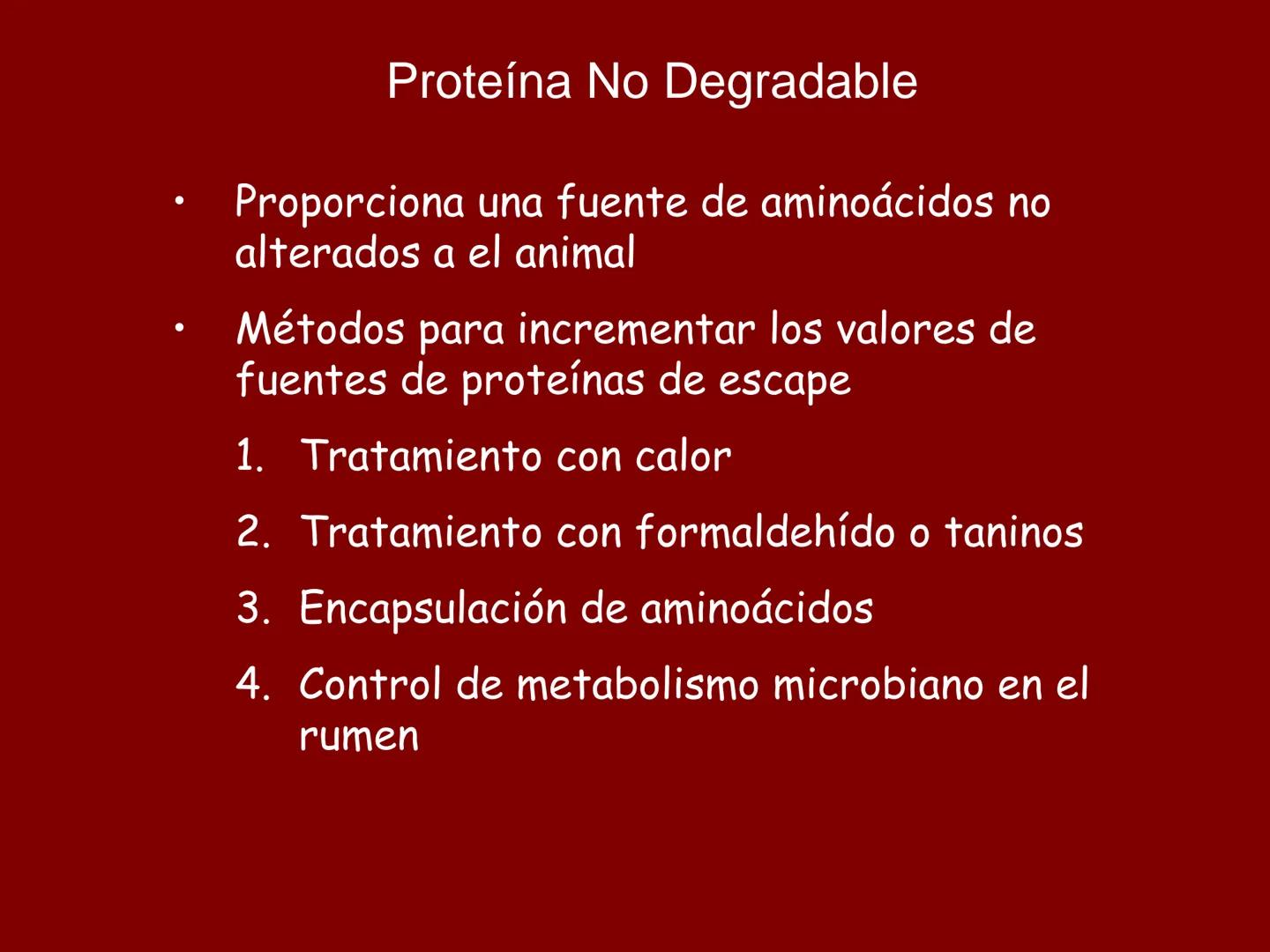 # METABOLISMO DE LAS PROTEINAS
2025 II Conformadas por cadena de aminoácidos
R
H
0
R3
H
0
R5
H
0
R7
H
0
H
CH
N
C
CH
N
C
CH
N
C
CH
N
C
N
