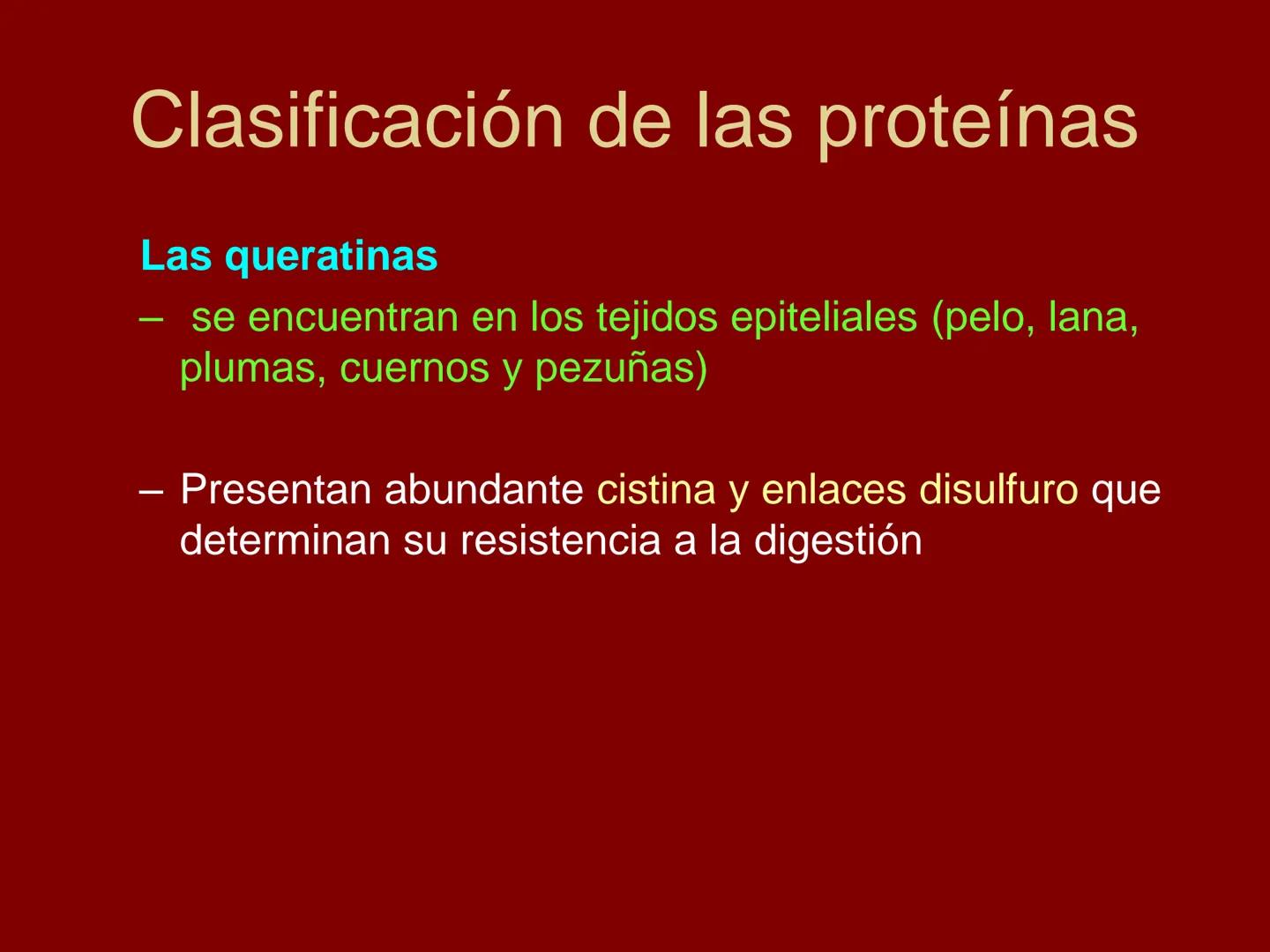 # METABOLISMO DE LAS PROTEINAS
2025 II Conformadas por cadena de aminoácidos
R
H
0
R3
H
0
R5
H
0
R7
H
0
H
CH
N
C
CH
N
C
CH
N
C
CH
N
C
N