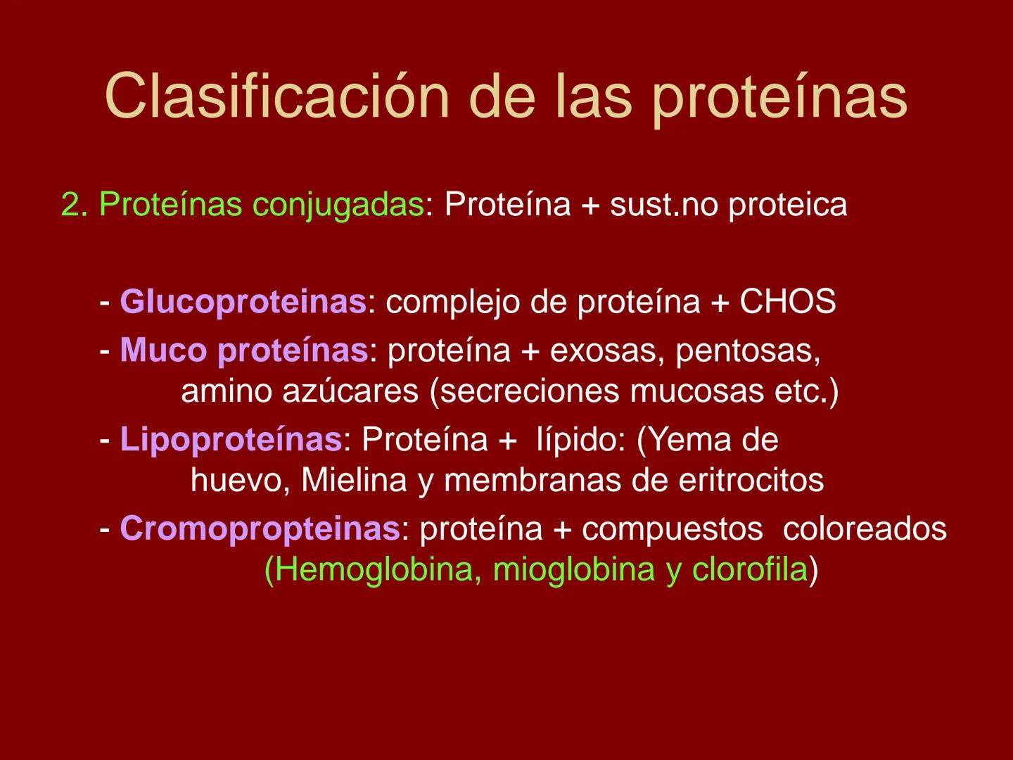 # METABOLISMO DE LAS PROTEINAS
2025 II Conformadas por cadena de aminoácidos
R
H
0
R3
H
0
R5
H
0
R7
H
0
H
CH
N
C
CH
N
C
CH
N
C
CH
N
C
N