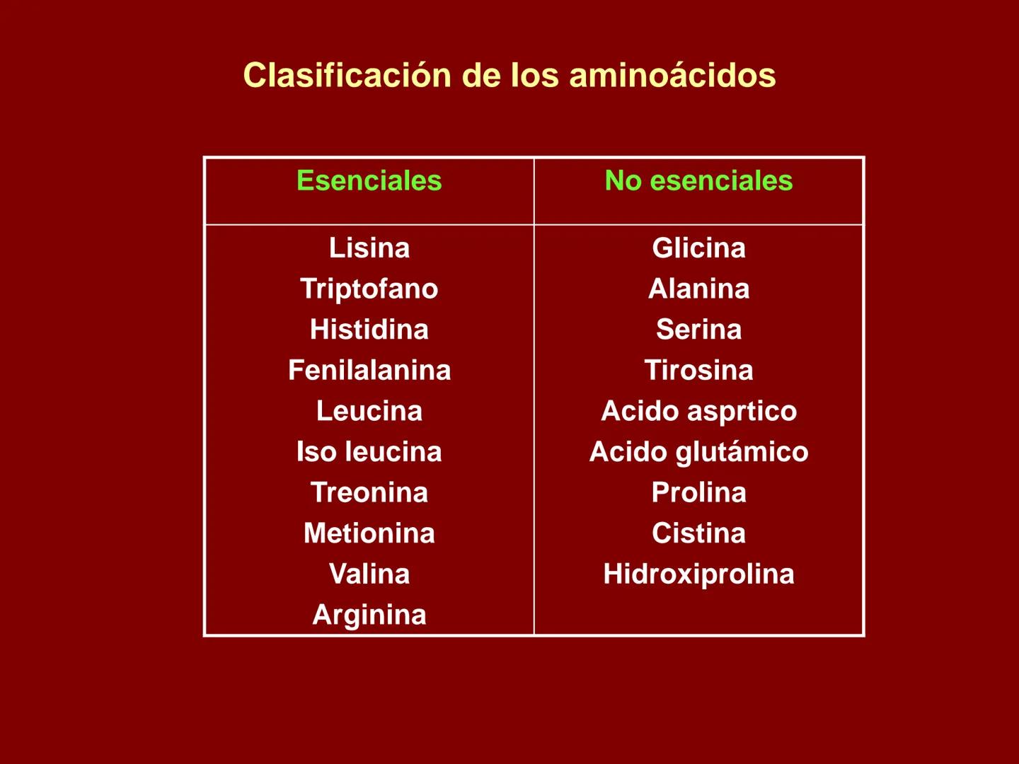# METABOLISMO DE LAS PROTEINAS
2025 II Conformadas por cadena de aminoácidos
R
H
0
R3
H
0
R5
H
0
R7
H
0
H
CH
N
C
CH
N
C
CH
N
C
CH
N
C
N