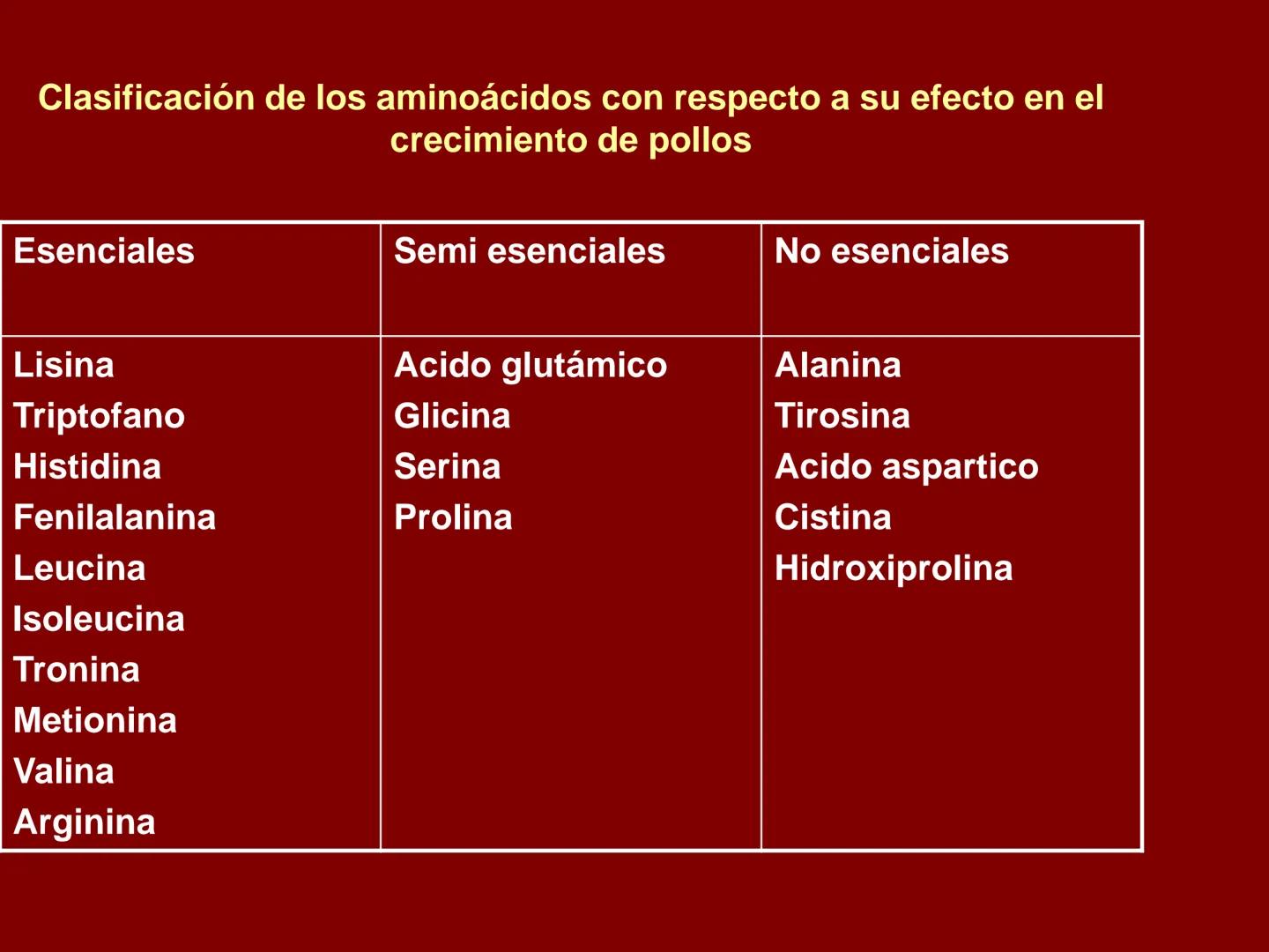 # METABOLISMO DE LAS PROTEINAS
2025 II Conformadas por cadena de aminoácidos
R
H
0
R3
H
0
R5
H
0
R7
H
0
H
CH
N
C
CH
N
C
CH
N
C
CH
N
C
N