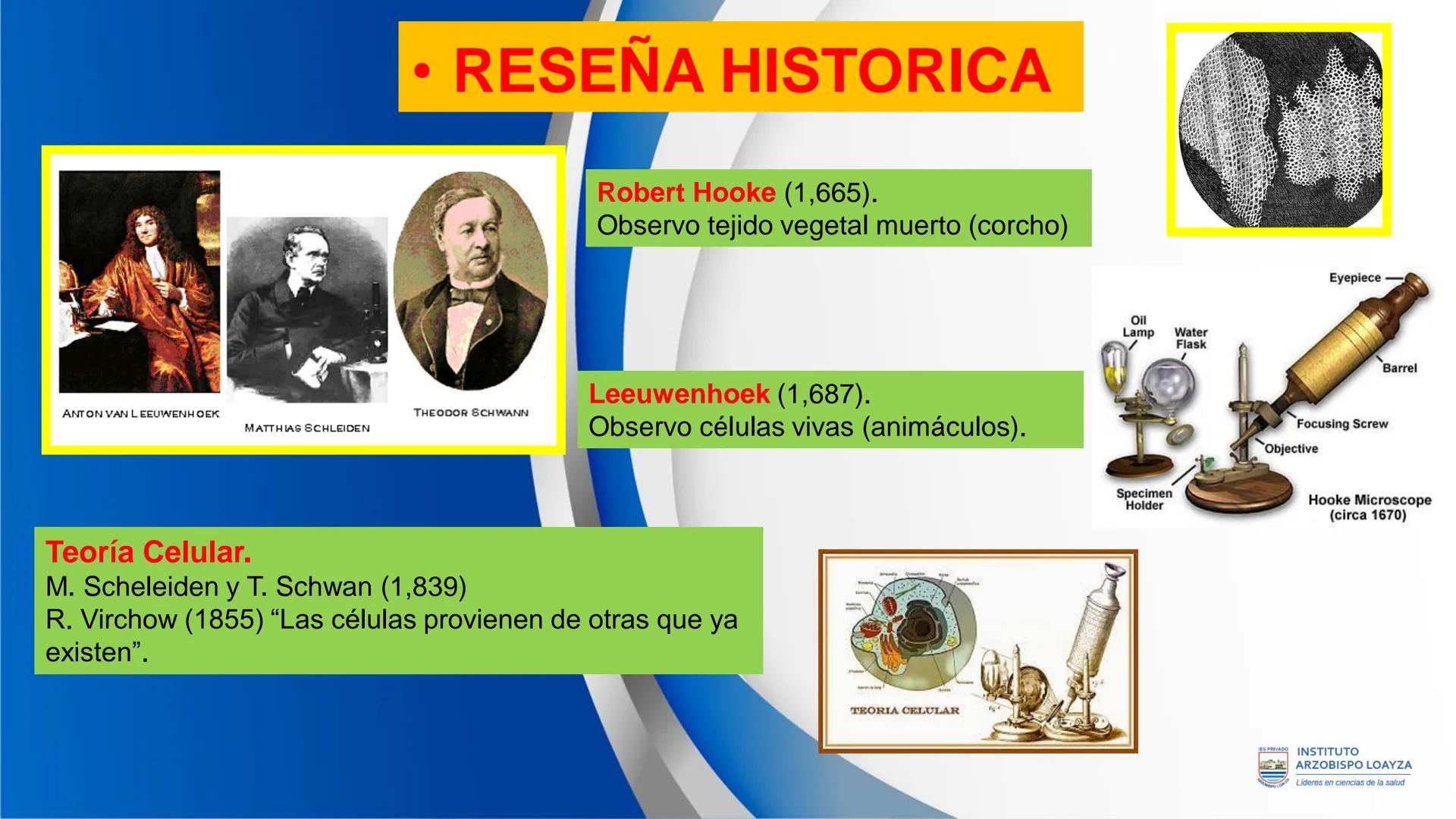 ESPRIVADO INSTITUTO
ARZOBISPO LOΑΥΖΑ
Líderes en ciencias de la salud
# SESIÓN DE
# APRENDIZAJE 11
IES PRIVADO
OBISPO LORYZA # BIENVENIDOS