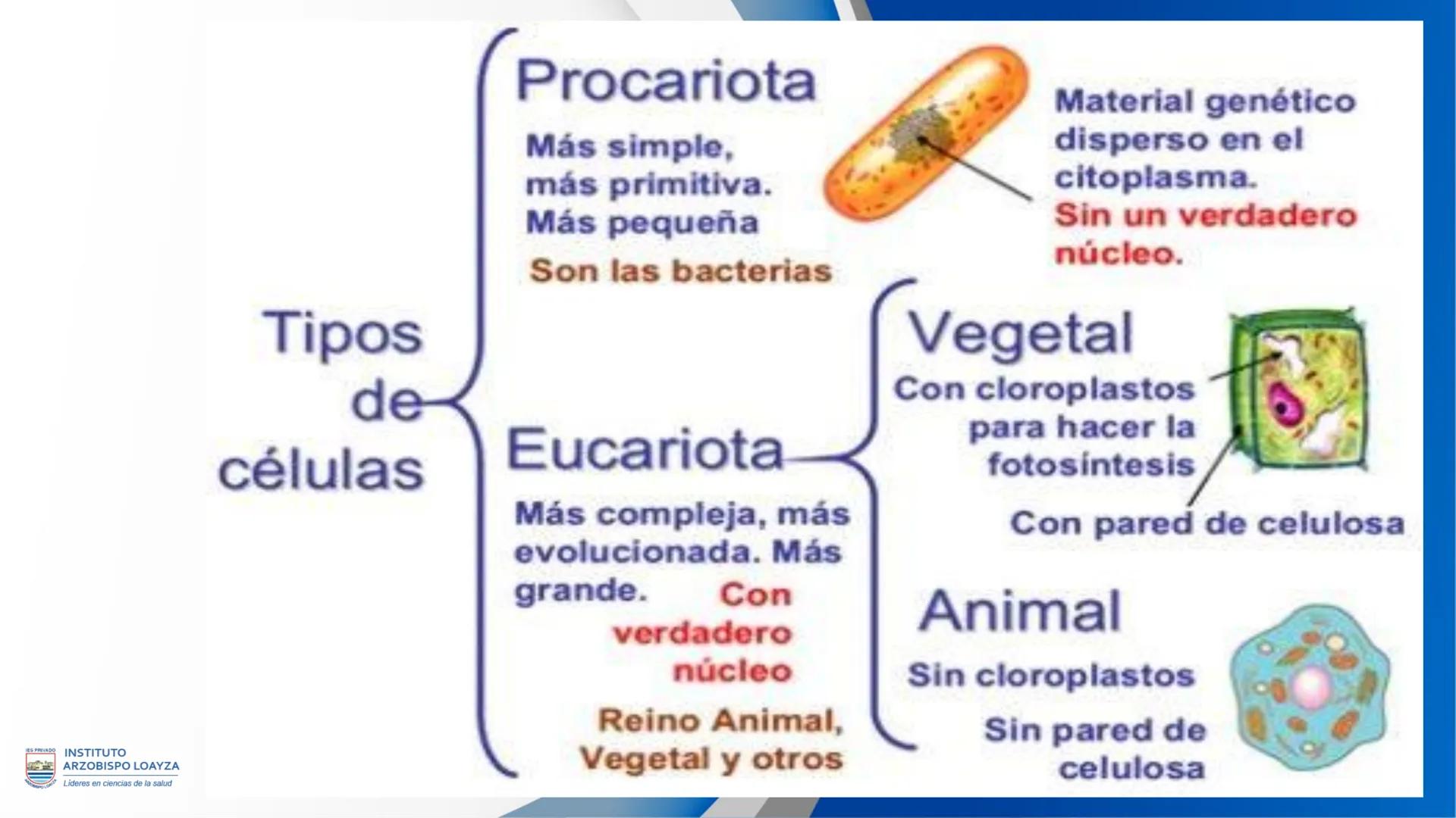 ESPRIVADO INSTITUTO
ARZOBISPO LOΑΥΖΑ
Líderes en ciencias de la salud
# SESIÓN DE
# APRENDIZAJE 11
IES PRIVADO
OBISPO LORYZA # BIENVENIDOS