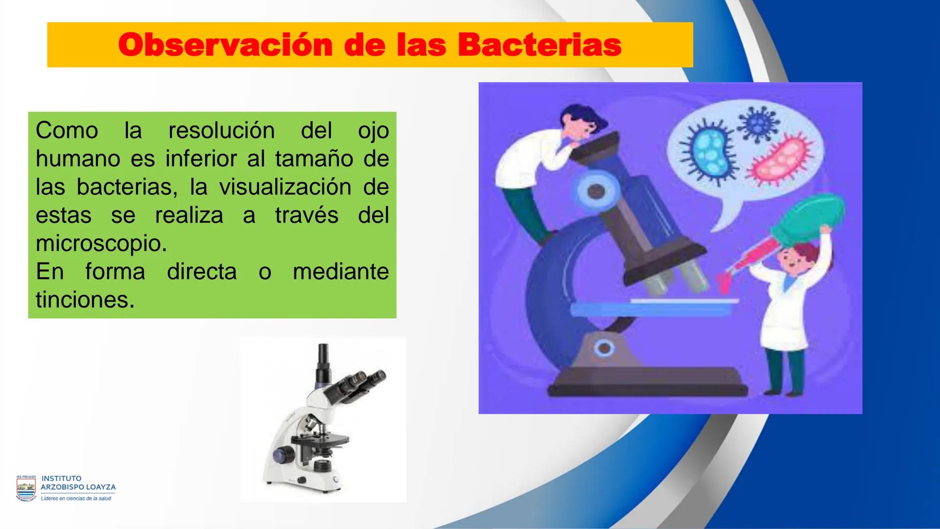 ESPRIVADO INSTITUTO
ARZOBISPO LOΑΥΖΑ
Líderes en ciencias de la salud
# SESIÓN DE
# APRENDIZAJE 11
IES PRIVADO
OBISPO LORYZA # BIENVENIDOS
