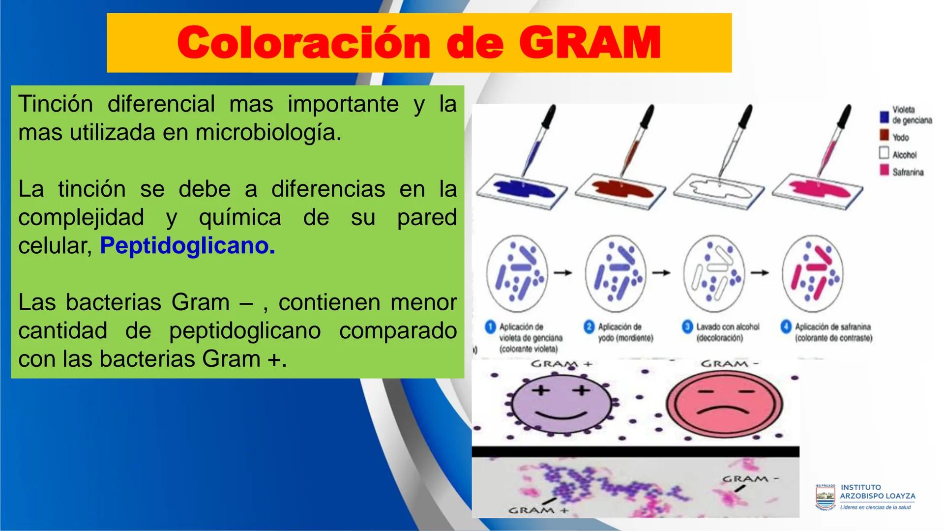ESPRIVADO INSTITUTO
ARZOBISPO LOΑΥΖΑ
Líderes en ciencias de la salud
# SESIÓN DE
# APRENDIZAJE 11
IES PRIVADO
OBISPO LORYZA # BIENVENIDOS