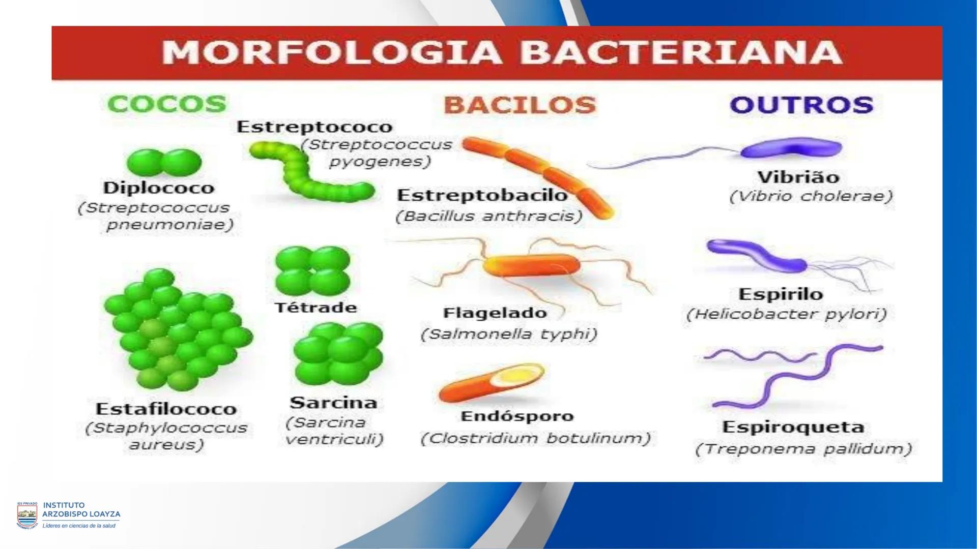 ESPRIVADO INSTITUTO
ARZOBISPO LOΑΥΖΑ
Líderes en ciencias de la salud
# SESIÓN DE
# APRENDIZAJE 11
IES PRIVADO
OBISPO LORYZA # BIENVENIDOS