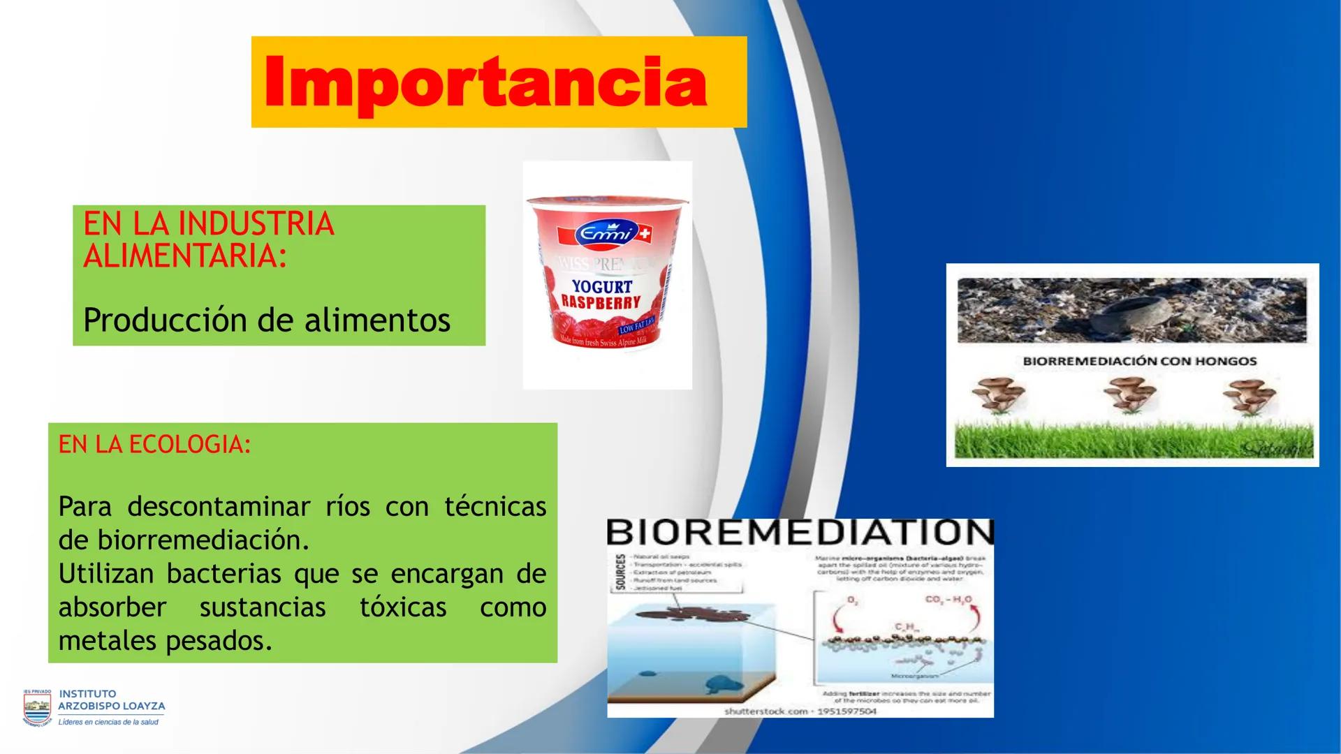ESPRIVADO INSTITUTO
ARZOBISPO LOΑΥΖΑ
Líderes en ciencias de la salud
# SESIÓN DE
# APRENDIZAJE 11
IES PRIVADO
OBISPO LORYZA # BIENVENIDOS