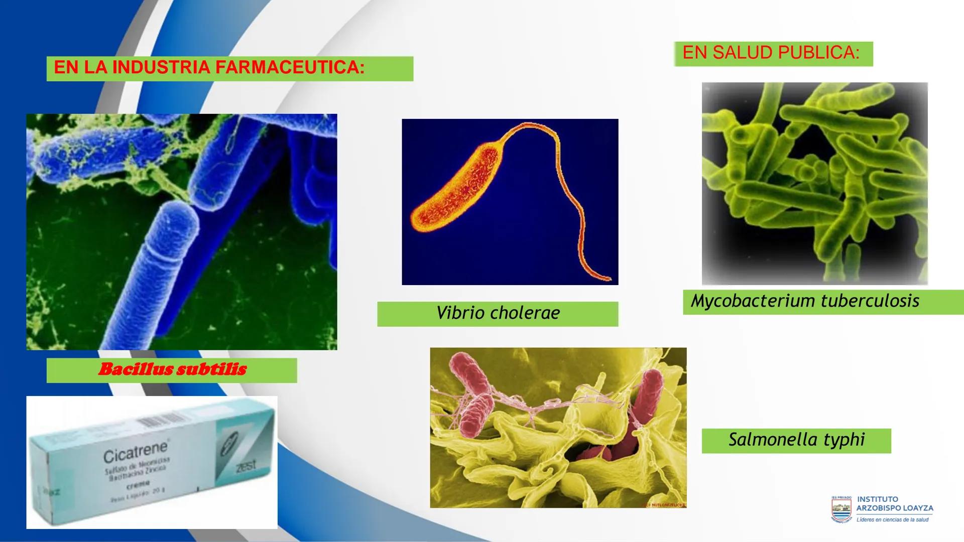 ESPRIVADO INSTITUTO
ARZOBISPO LOΑΥΖΑ
Líderes en ciencias de la salud
# SESIÓN DE
# APRENDIZAJE 11
IES PRIVADO
OBISPO LORYZA # BIENVENIDOS