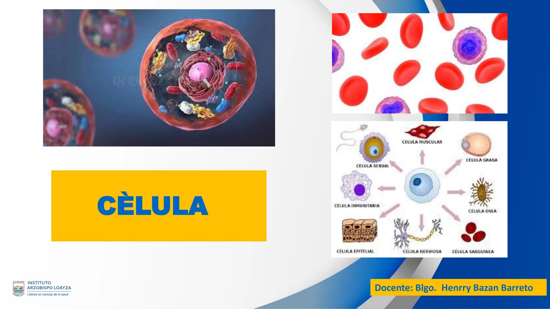ESPRIVADO INSTITUTO
ARZOBISPO LOΑΥΖΑ
Líderes en ciencias de la salud
# SESIÓN DE
# APRENDIZAJE 11
IES PRIVADO
OBISPO LORYZA # BIENVENIDOS