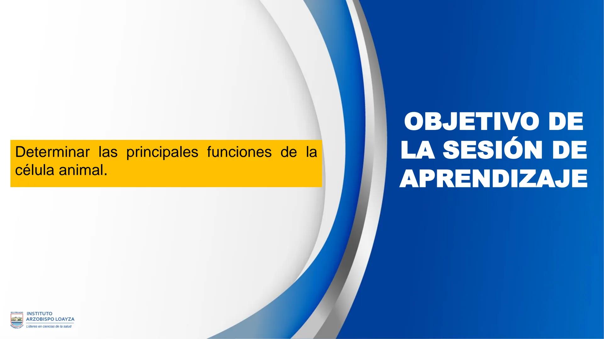 ESPRIVADO INSTITUTO
ARZOBISPO LOΑΥΖΑ
Líderes en ciencias de la salud
# SESIÓN DE
# APRENDIZAJE 11
IES PRIVADO
OBISPO LORYZA # BIENVENIDOS