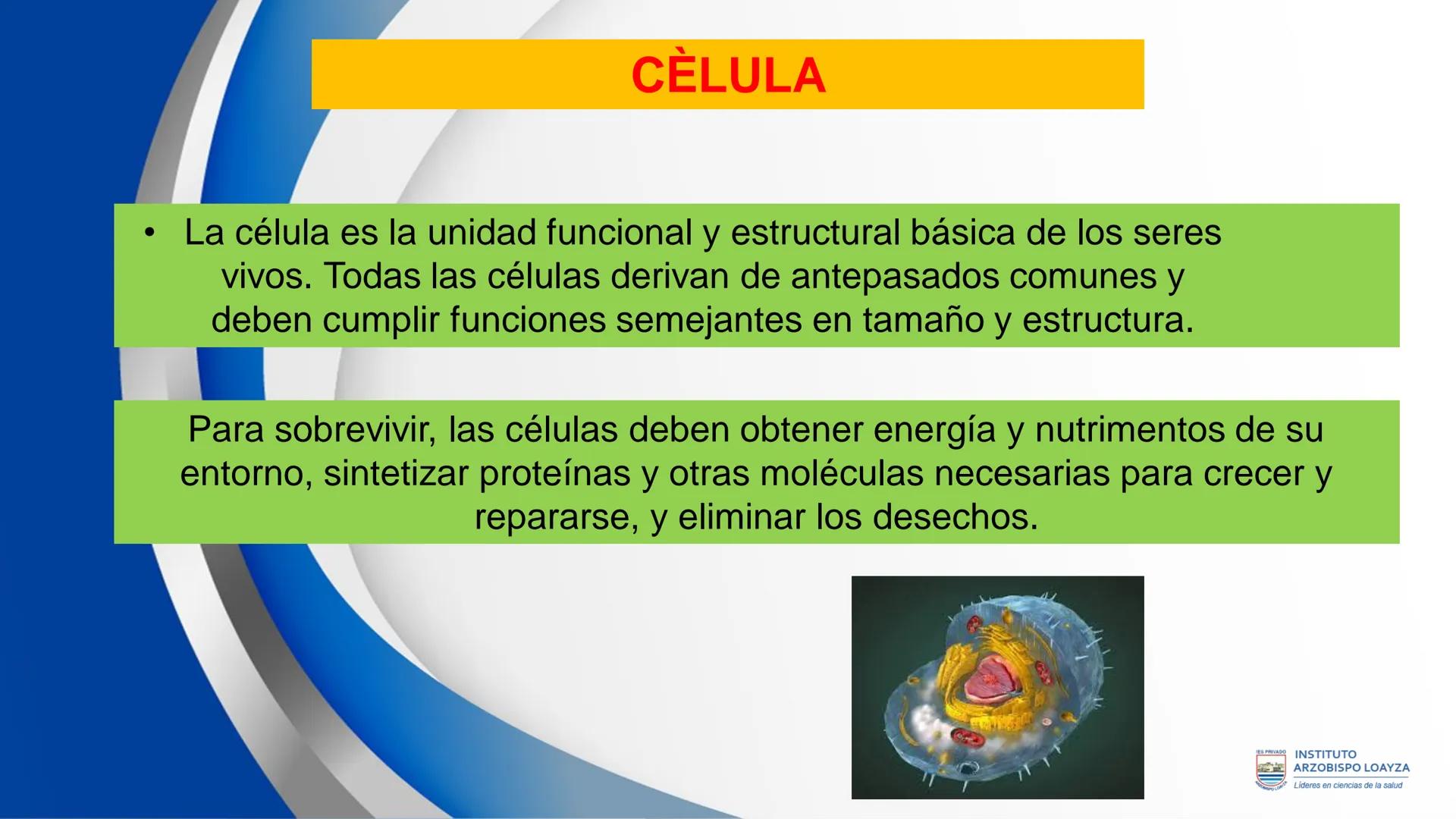 ESPRIVADO INSTITUTO
ARZOBISPO LOΑΥΖΑ
Líderes en ciencias de la salud
# SESIÓN DE
# APRENDIZAJE 11
IES PRIVADO
OBISPO LORYZA # BIENVENIDOS