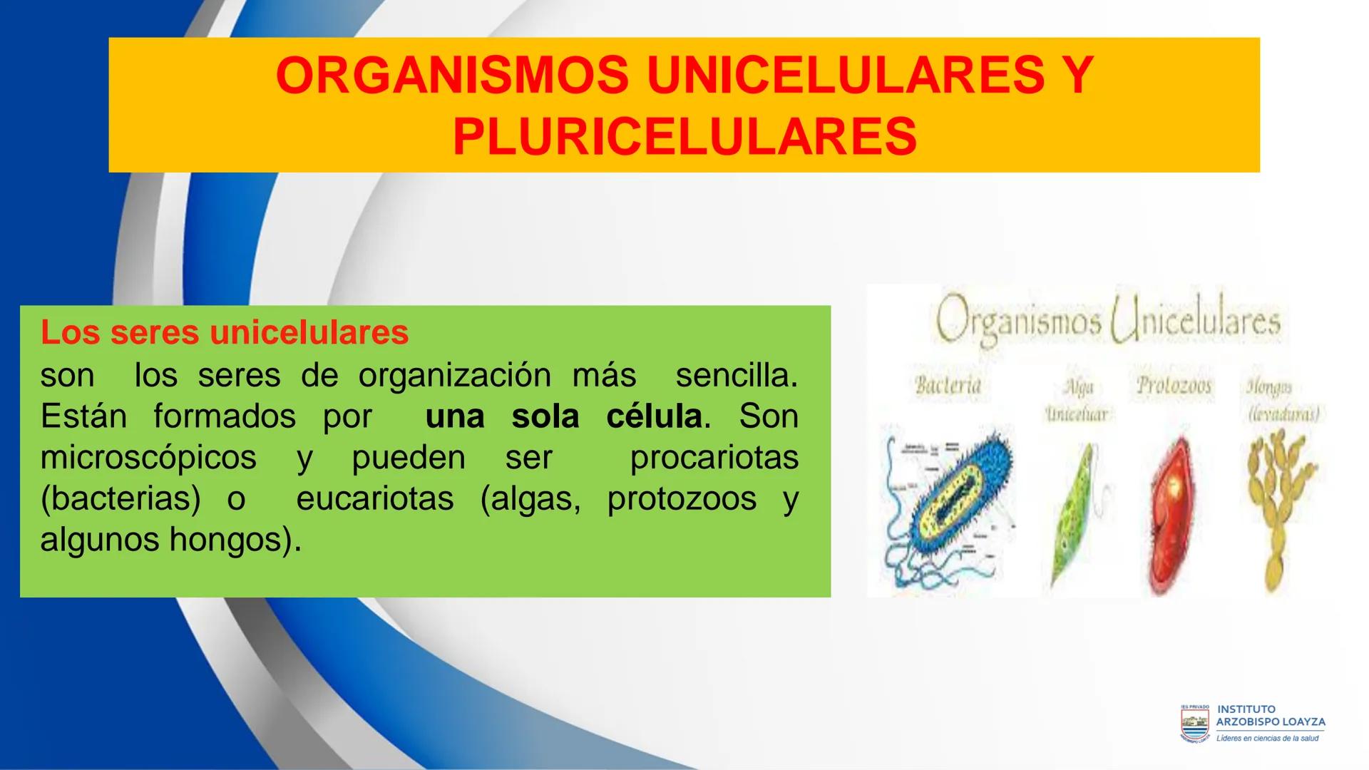 ESPRIVADO INSTITUTO
ARZOBISPO LOΑΥΖΑ
Líderes en ciencias de la salud
# SESIÓN DE
# APRENDIZAJE 11
IES PRIVADO
OBISPO LORYZA # BIENVENIDOS