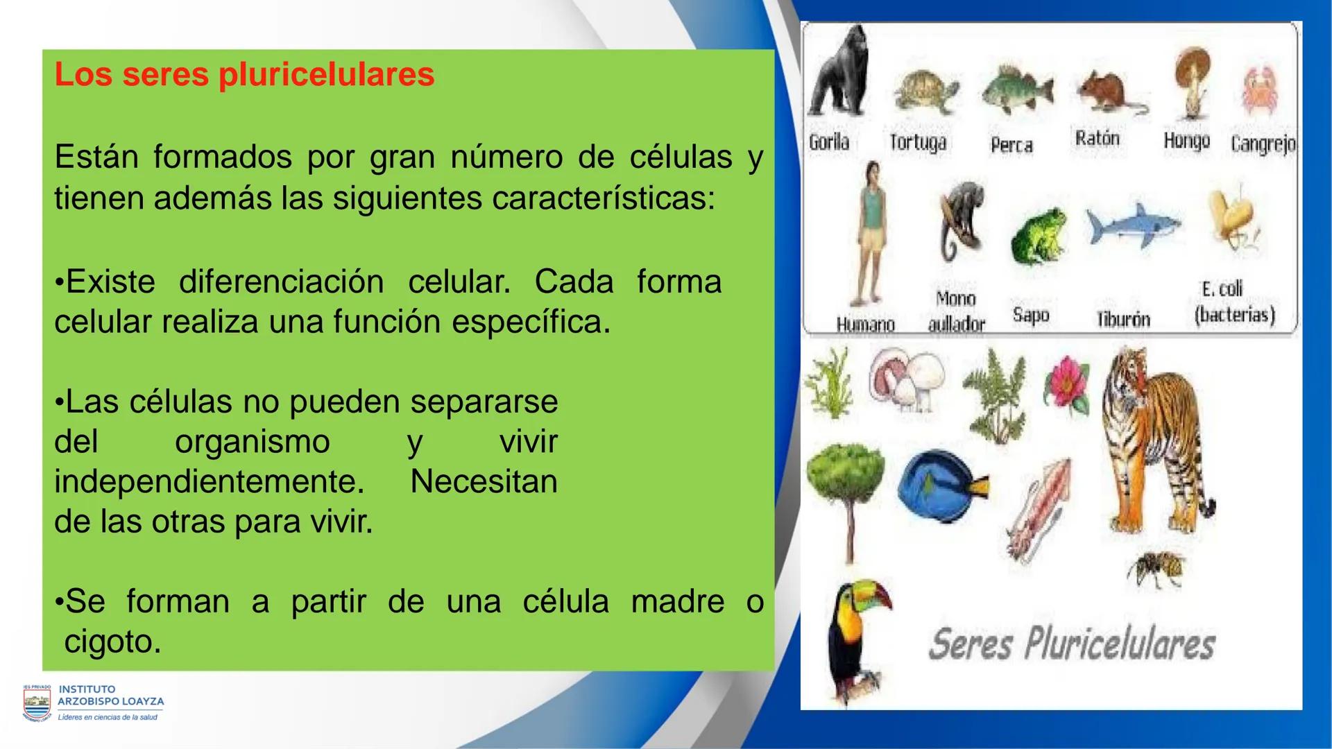 ESPRIVADO INSTITUTO
ARZOBISPO LOΑΥΖΑ
Líderes en ciencias de la salud
# SESIÓN DE
# APRENDIZAJE 11
IES PRIVADO
OBISPO LORYZA # BIENVENIDOS