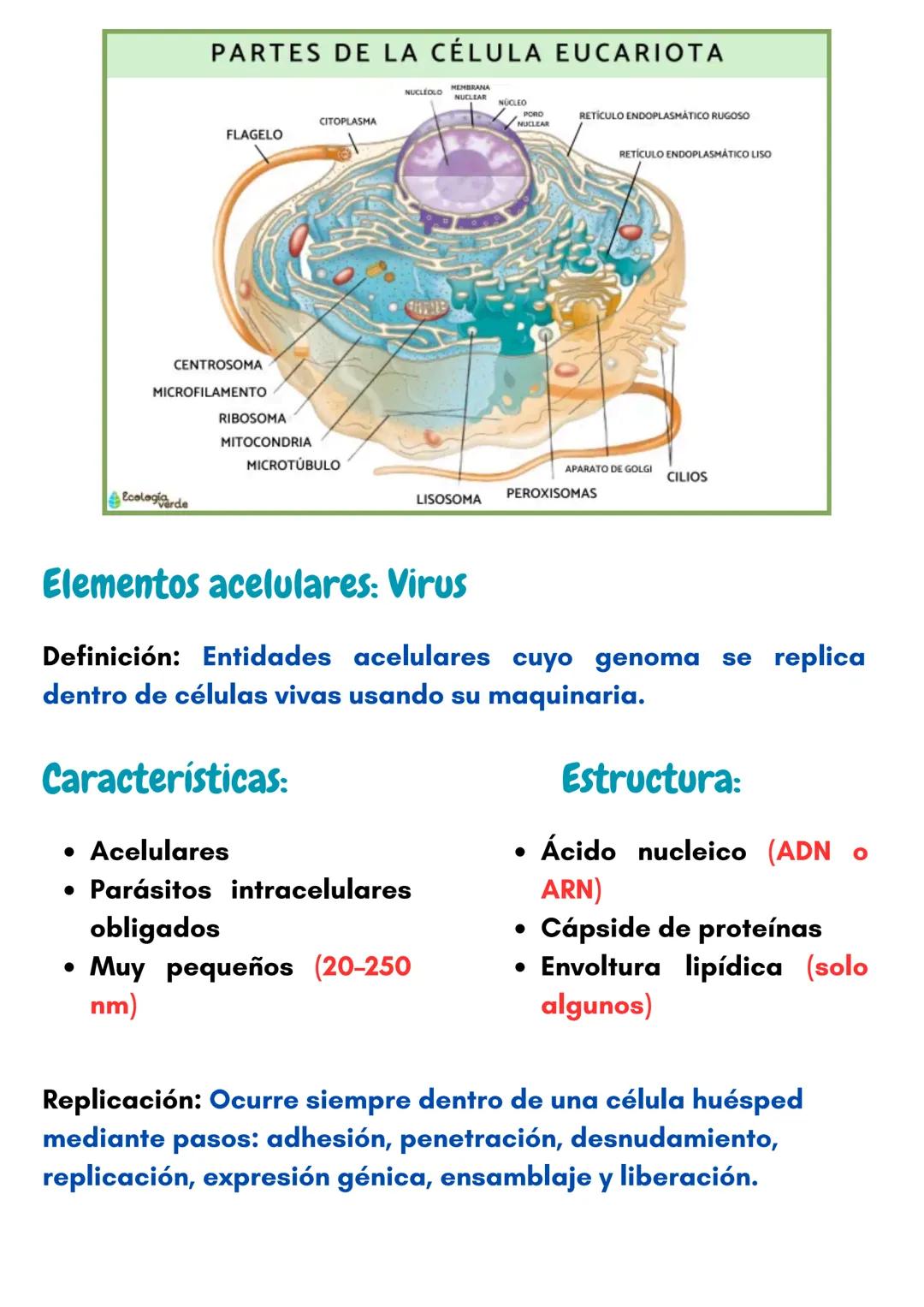 # Introducción a la
Biologia
1.- ¿Qué es la Vida?
Un ser vivo se define como un sistema
complejo, organizado, independiente y
con estruct