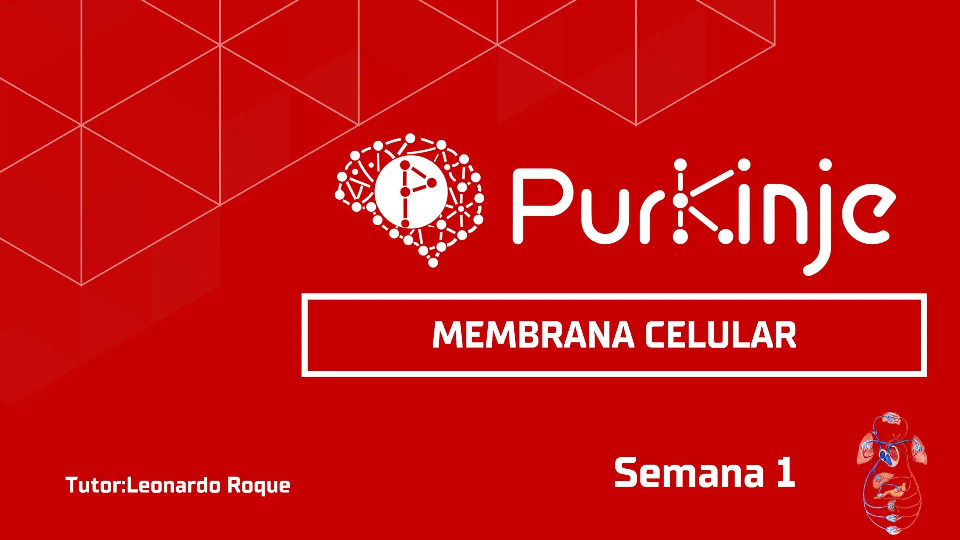 # Purkinje
MEMBRANA CELULAR
Semana 1
Tutor:Leonardo Roque Purkinje
Biologia celular y molecular
OBJETIVOS DE CLASE
• Describir la orga