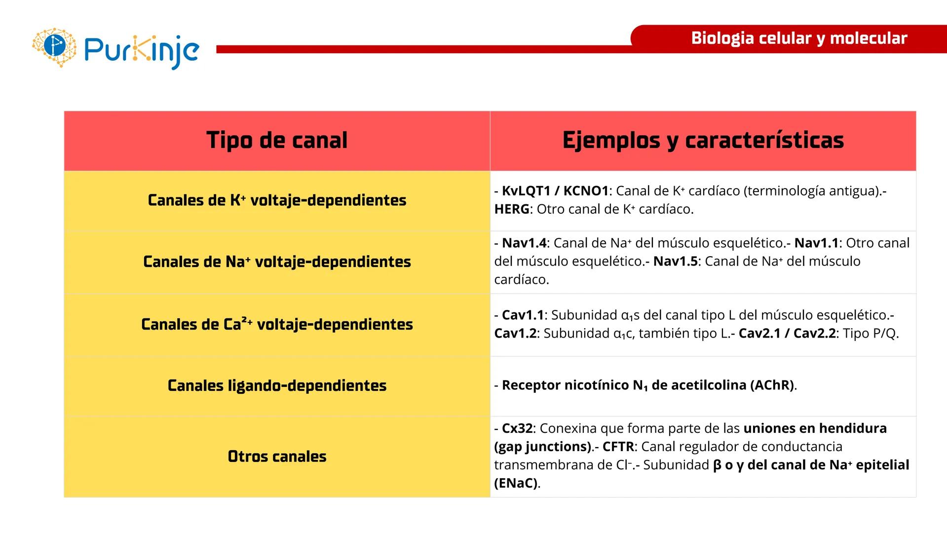 # Purkinje
MEMBRANA CELULAR
Semana 1
Tutor:Leonardo Roque Purkinje
Biologia celular y molecular
OBJETIVOS DE CLASE
• Describir la orga