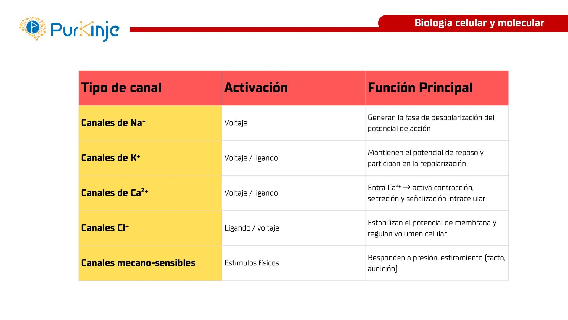 # Purkinje
MEMBRANA CELULAR
Semana 1
Tutor:Leonardo Roque Purkinje
Biologia celular y molecular
OBJETIVOS DE CLASE
• Describir la orga