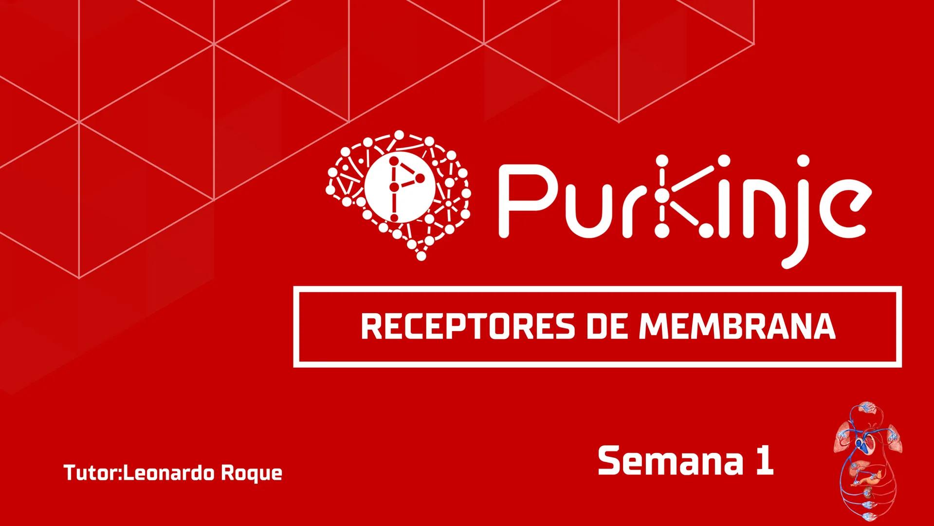 # Purkinje
MEMBRANA CELULAR
Semana 1
Tutor:Leonardo Roque Purkinje
Biologia celular y molecular
OBJETIVOS DE CLASE
• Describir la orga