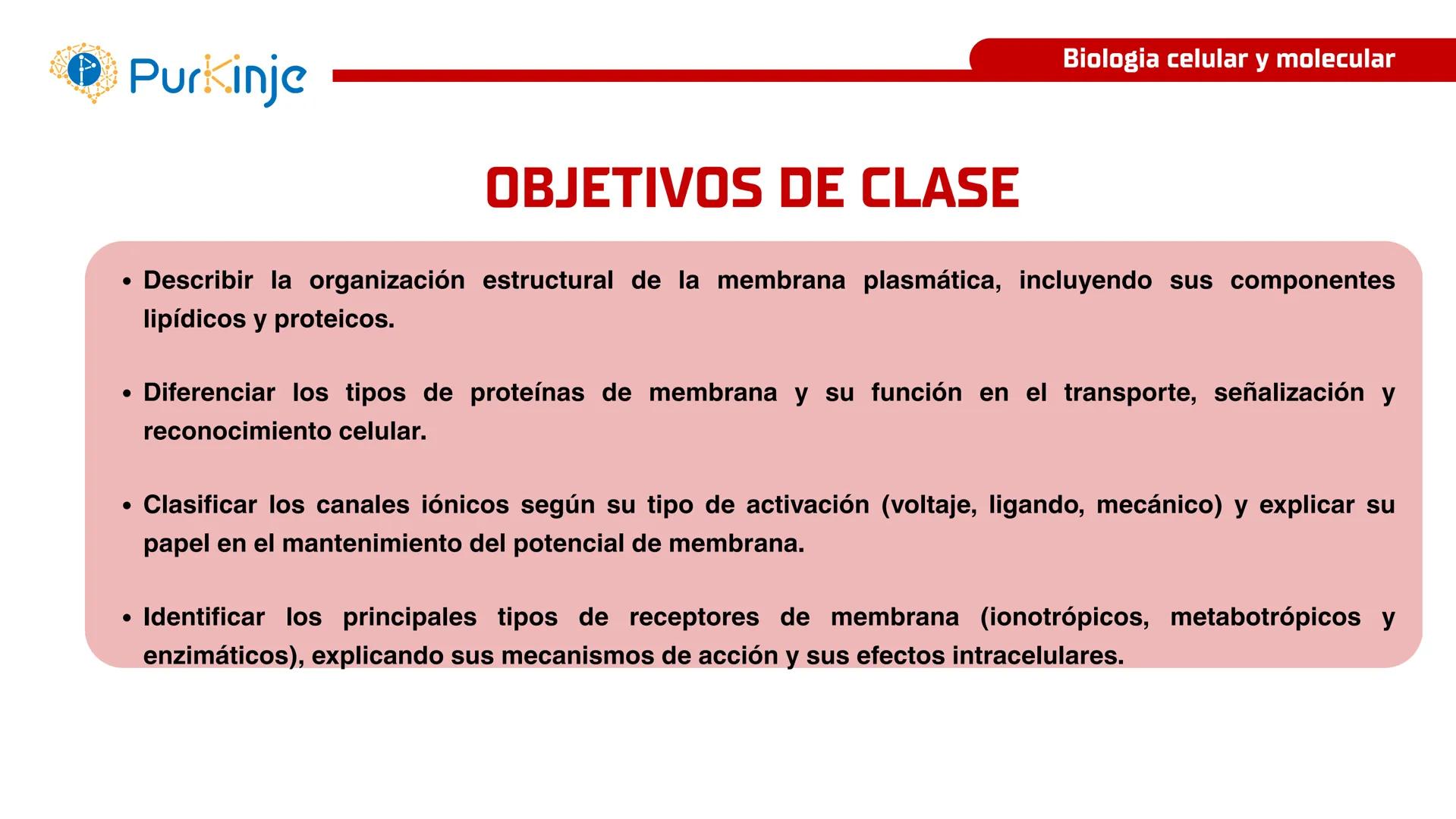# Purkinje
MEMBRANA CELULAR
Semana 1
Tutor:Leonardo Roque Purkinje
Biologia celular y molecular
OBJETIVOS DE CLASE
• Describir la orga