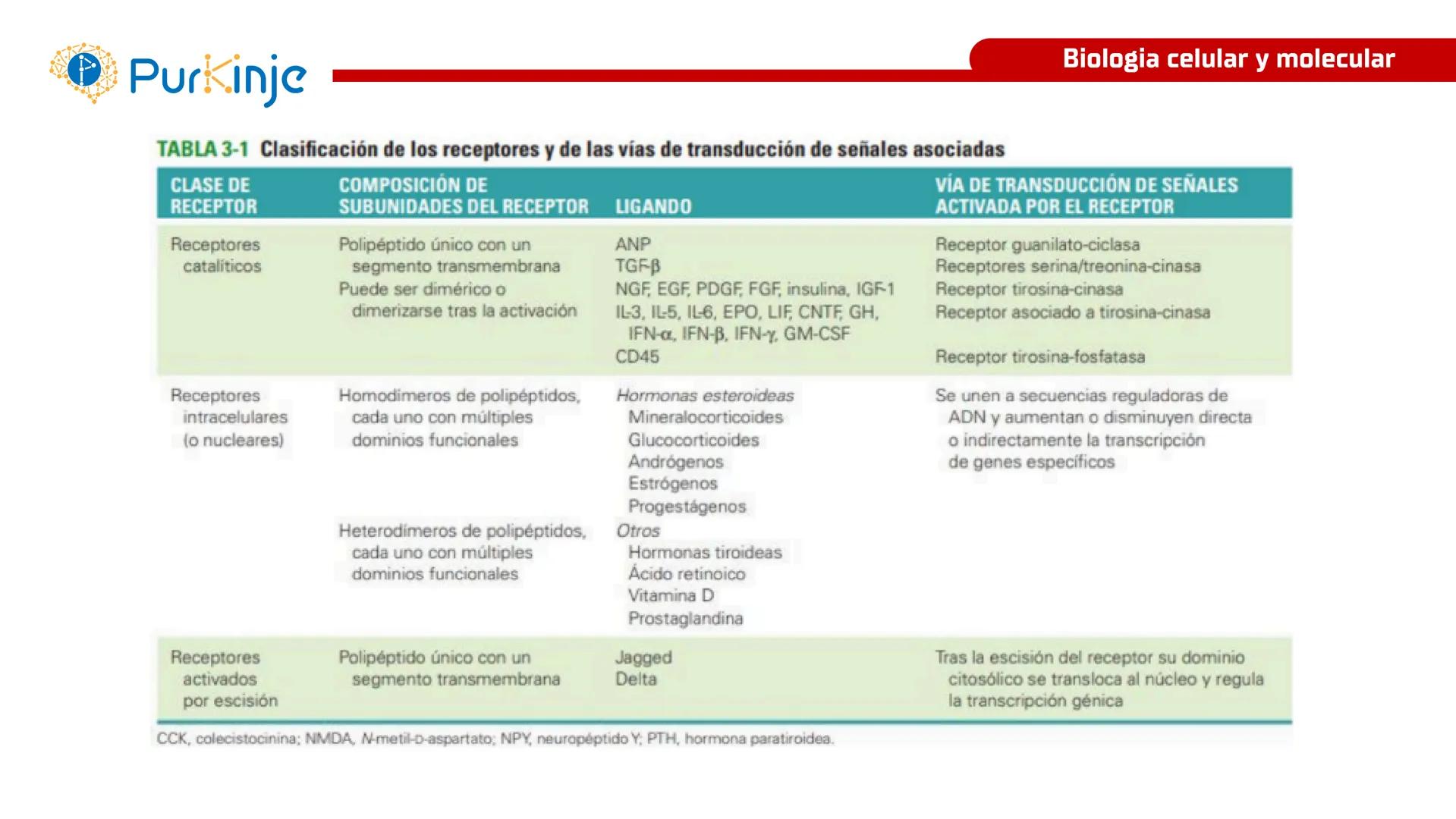 # Purkinje
MEMBRANA CELULAR
Semana 1
Tutor:Leonardo Roque Purkinje
Biologia celular y molecular
OBJETIVOS DE CLASE
• Describir la orga