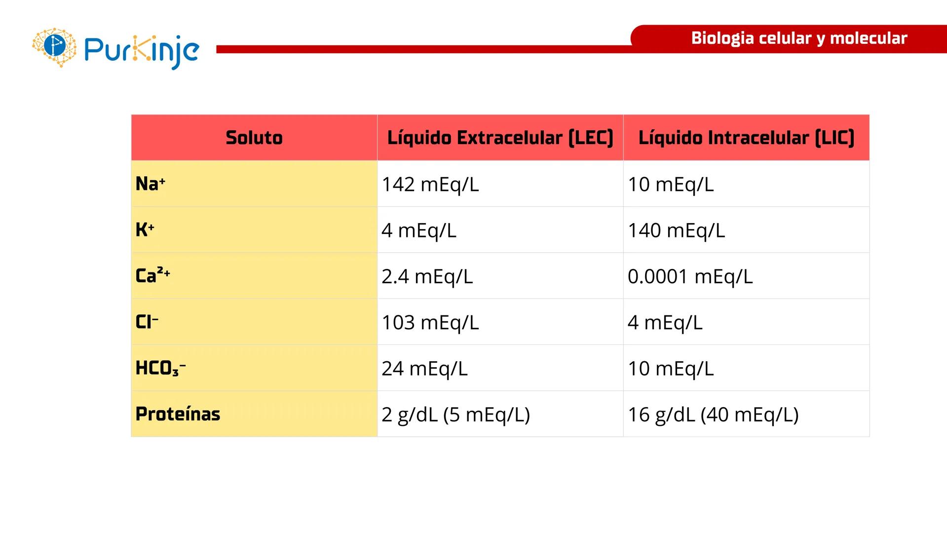 # Purkinje
MEMBRANA CELULAR
Semana 1
Tutor:Leonardo Roque Purkinje
Biologia celular y molecular
OBJETIVOS DE CLASE
• Describir la orga